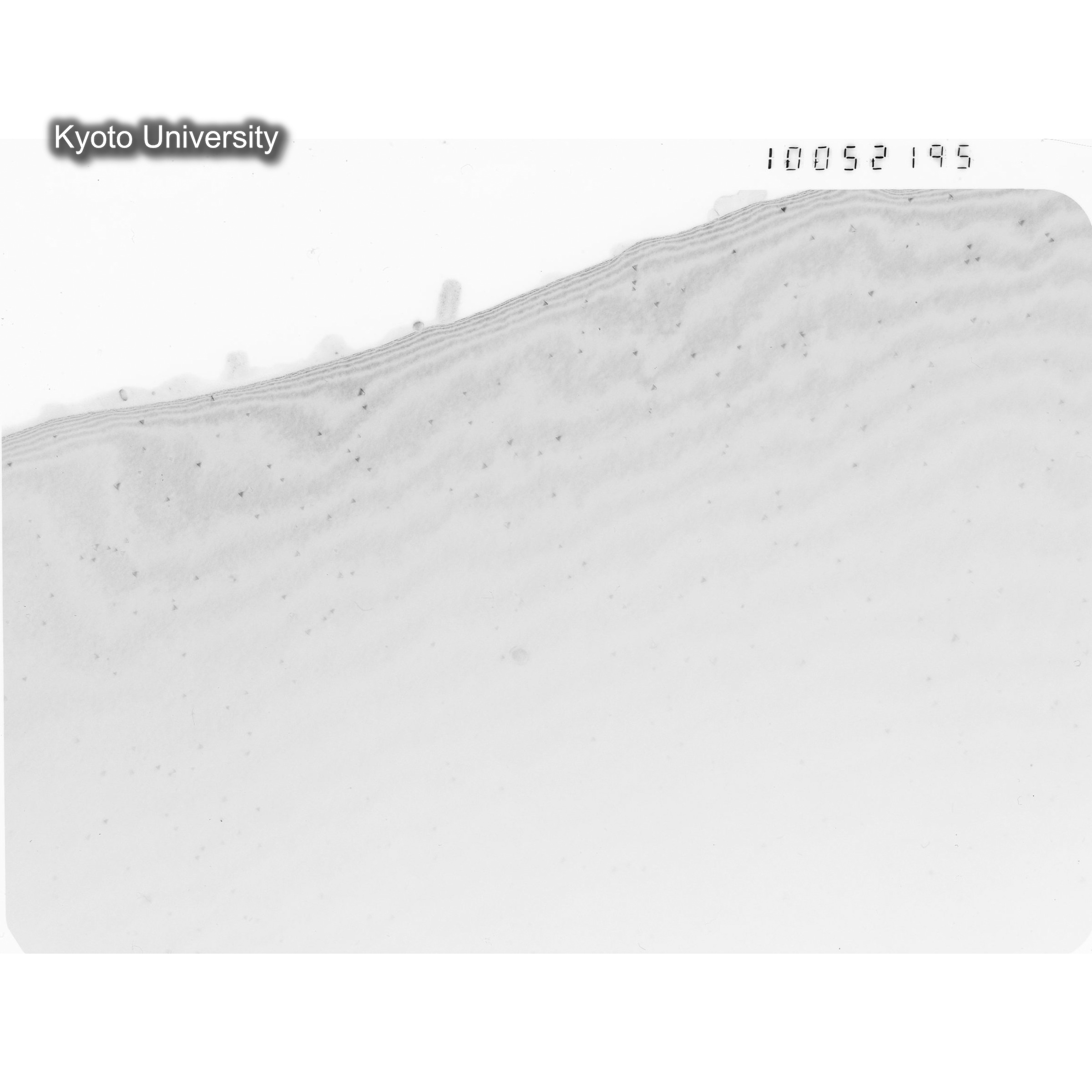 [ネガフィルム, Oシリーズ] O-52195. Au, JMTRcontroll, 300℃　01, 100K. (1)