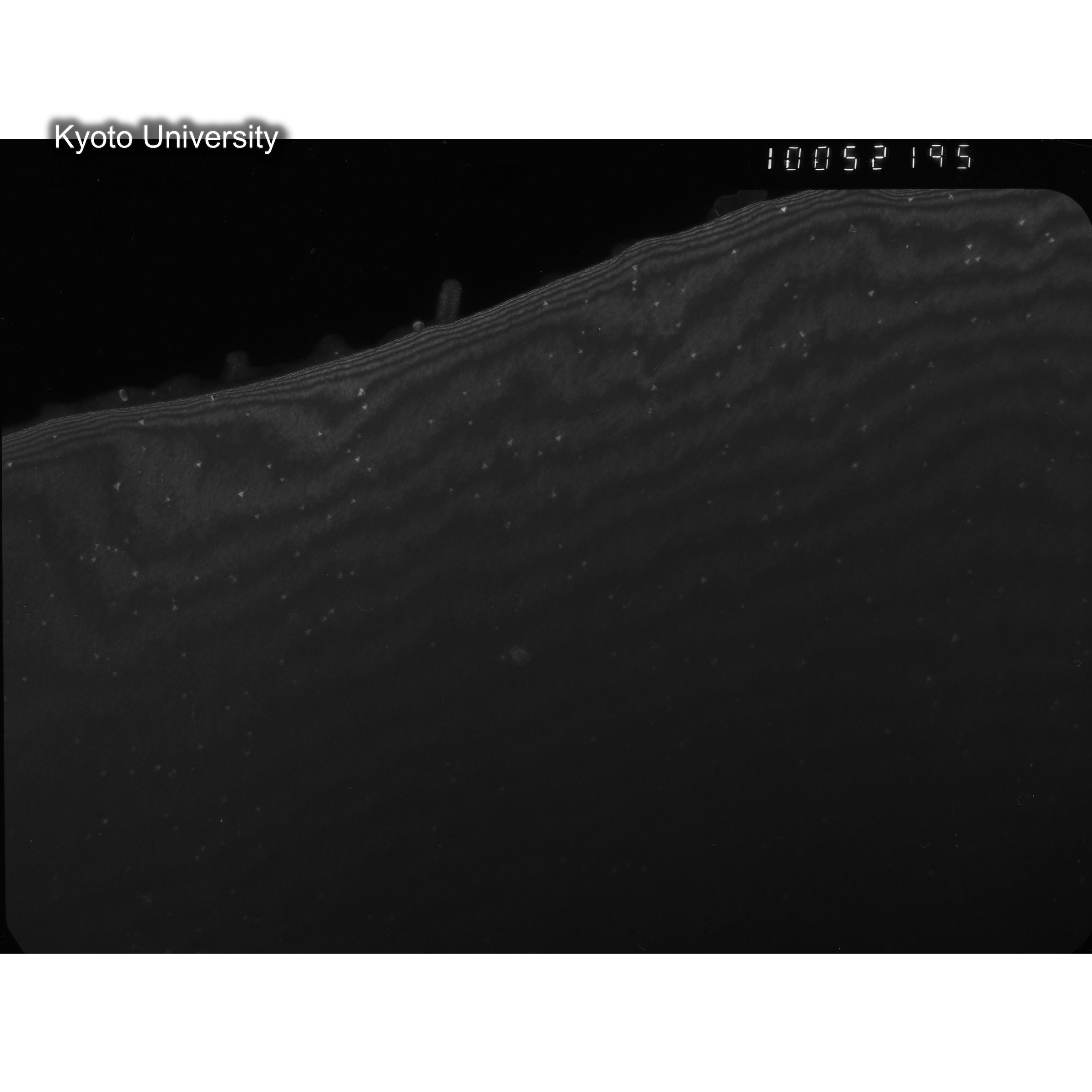 [ネガフィルム, Oシリーズ] O-52195. Au, JMTRcontroll, 300℃　01, 100K. (2)