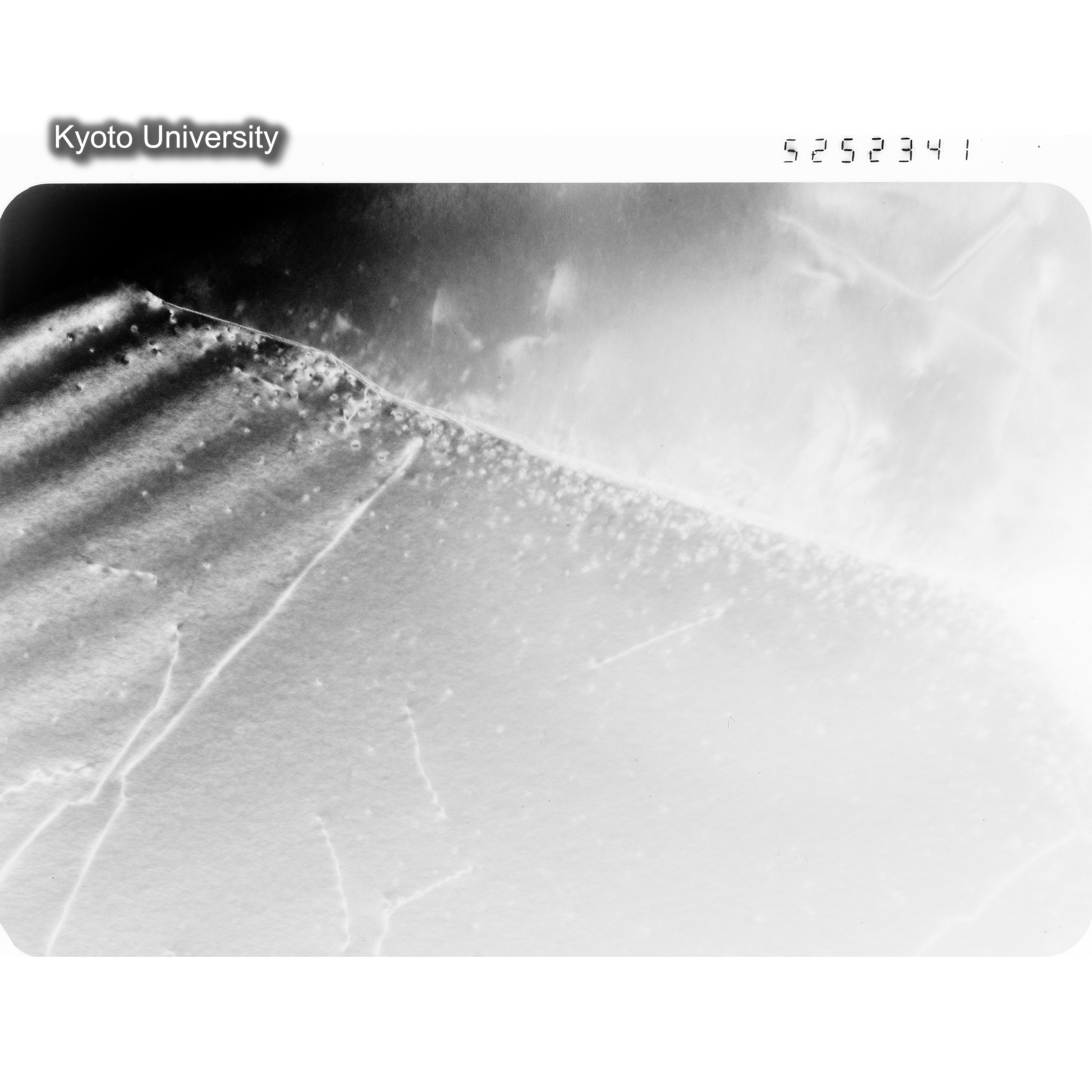 [ネガフィルム, Oシリーズ] O-52341. Ni-2Sn, JMTRcontroll, 300℃　01, BF, 52K. (1)