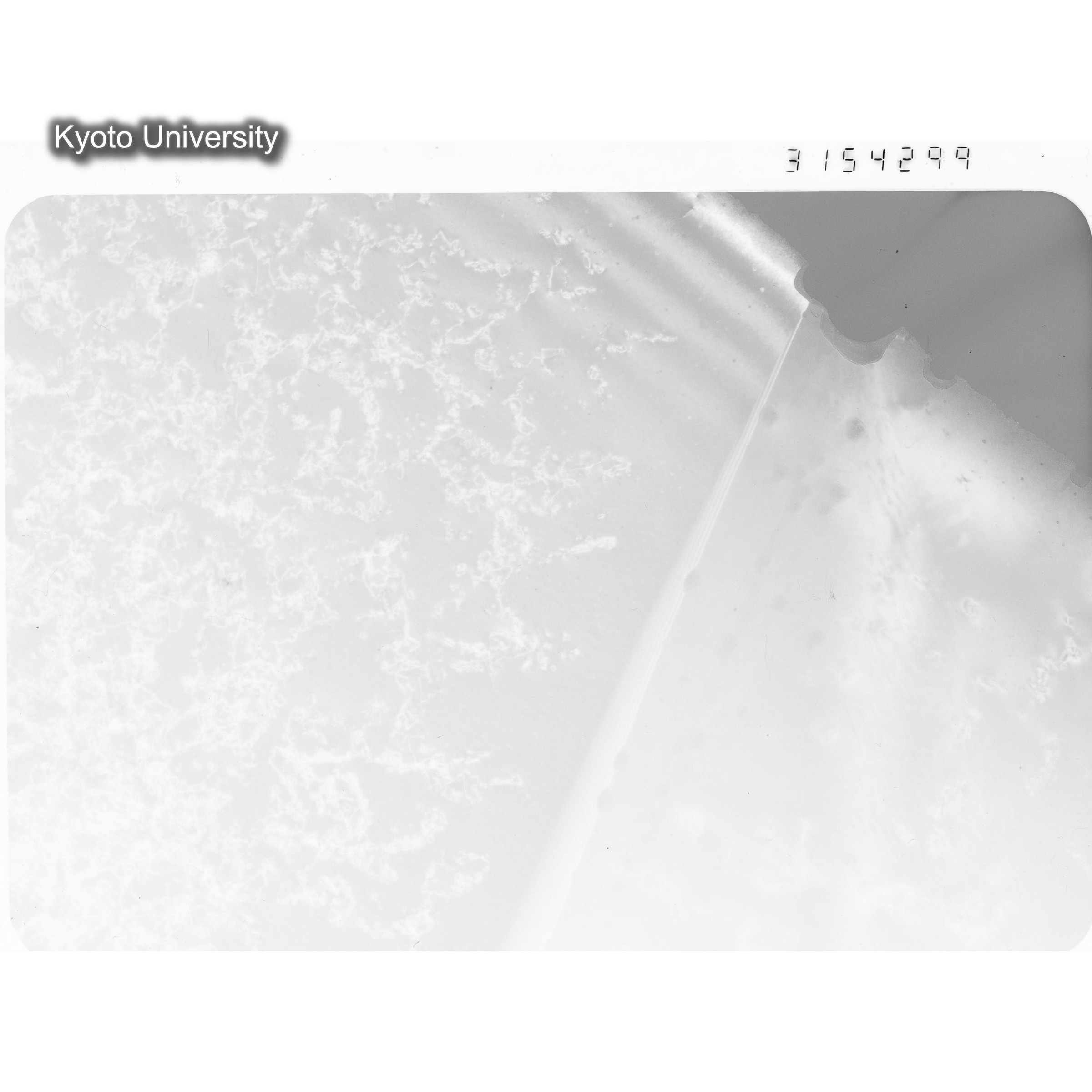 [ネガフィルム, Oシリーズ] O-54299. Ni-2Ge, JMTR　controlled, 290℃, 7. (1)