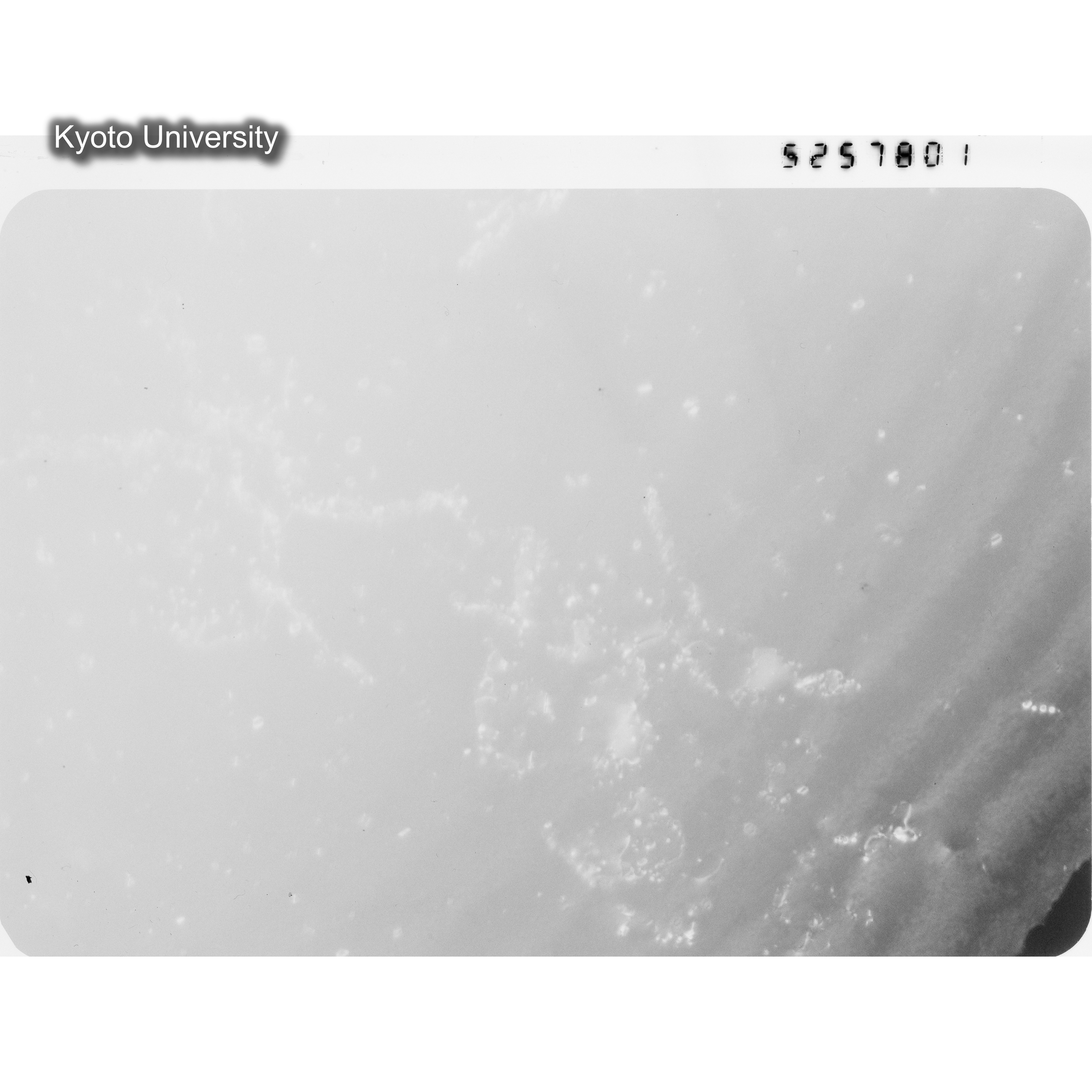 [ネガフィルム, Oシリーズ] O-57801. Ni-0.05Ge, JMTR, 01, BF, 52K. (1)