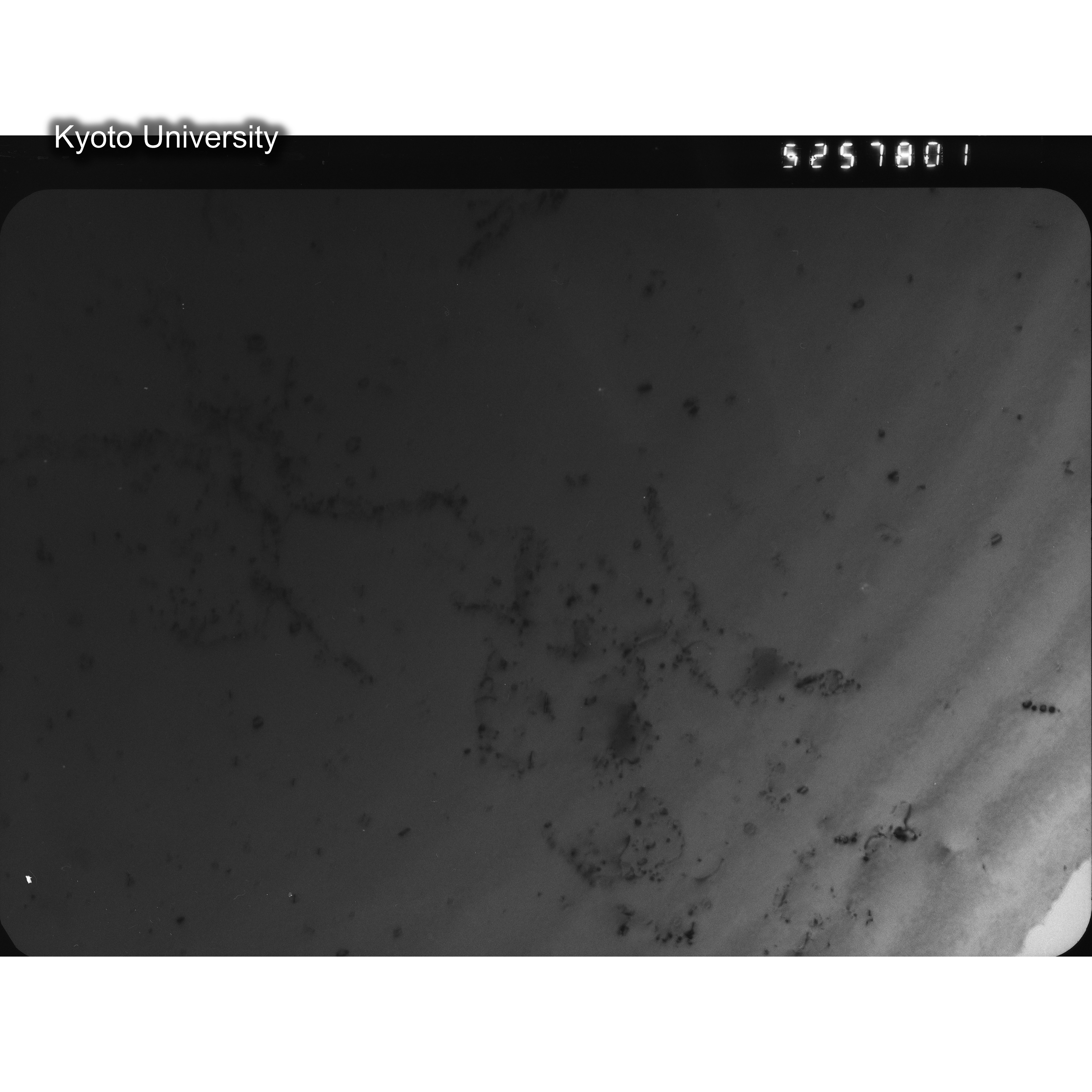 [ネガフィルム, Oシリーズ] O-57801. Ni-0.05Ge, JMTR, 01, BF, 52K. (2)