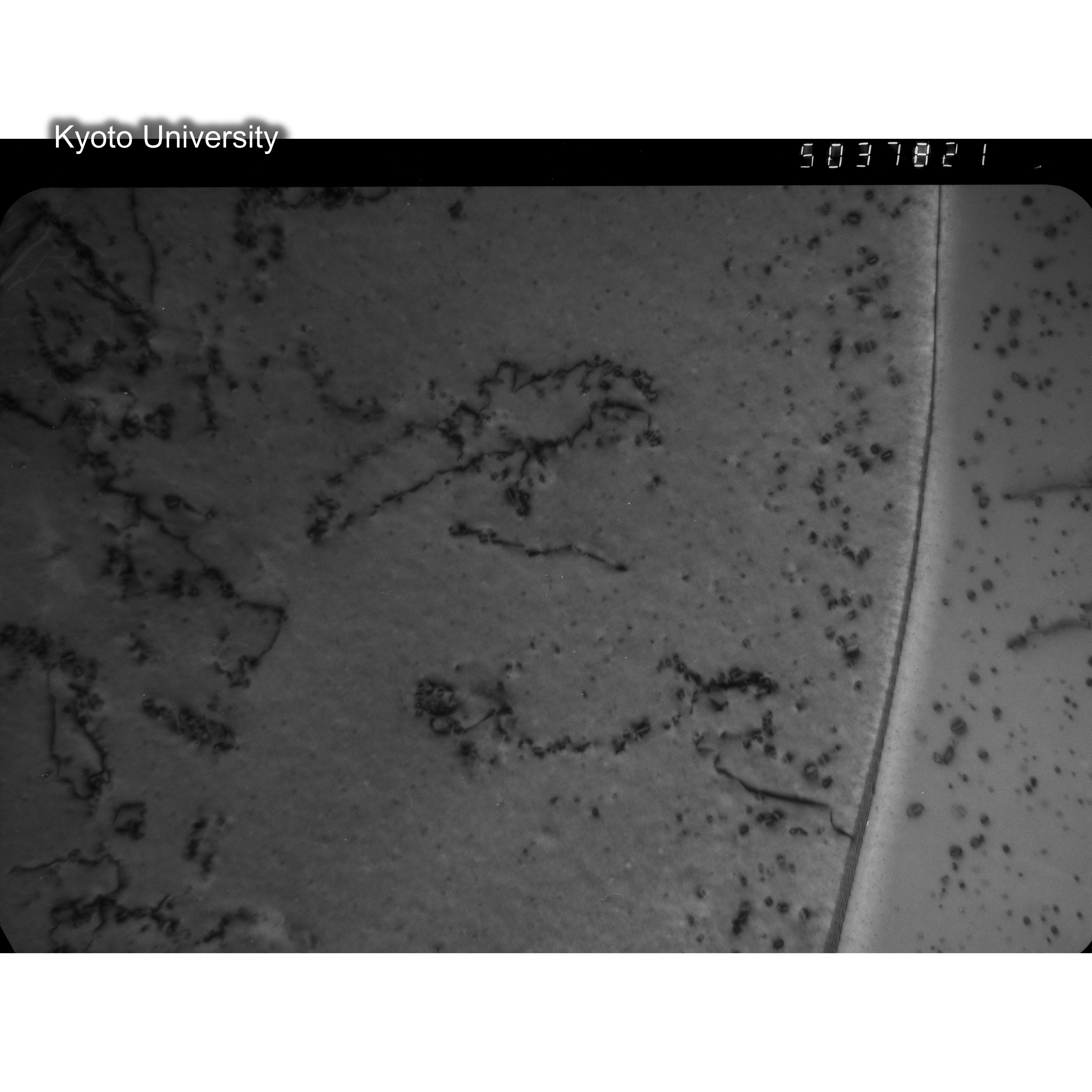 [ネガフィルム, Lシリーズ] L-37821. Ni, JMTRuncontrolled, 300℃. (2)