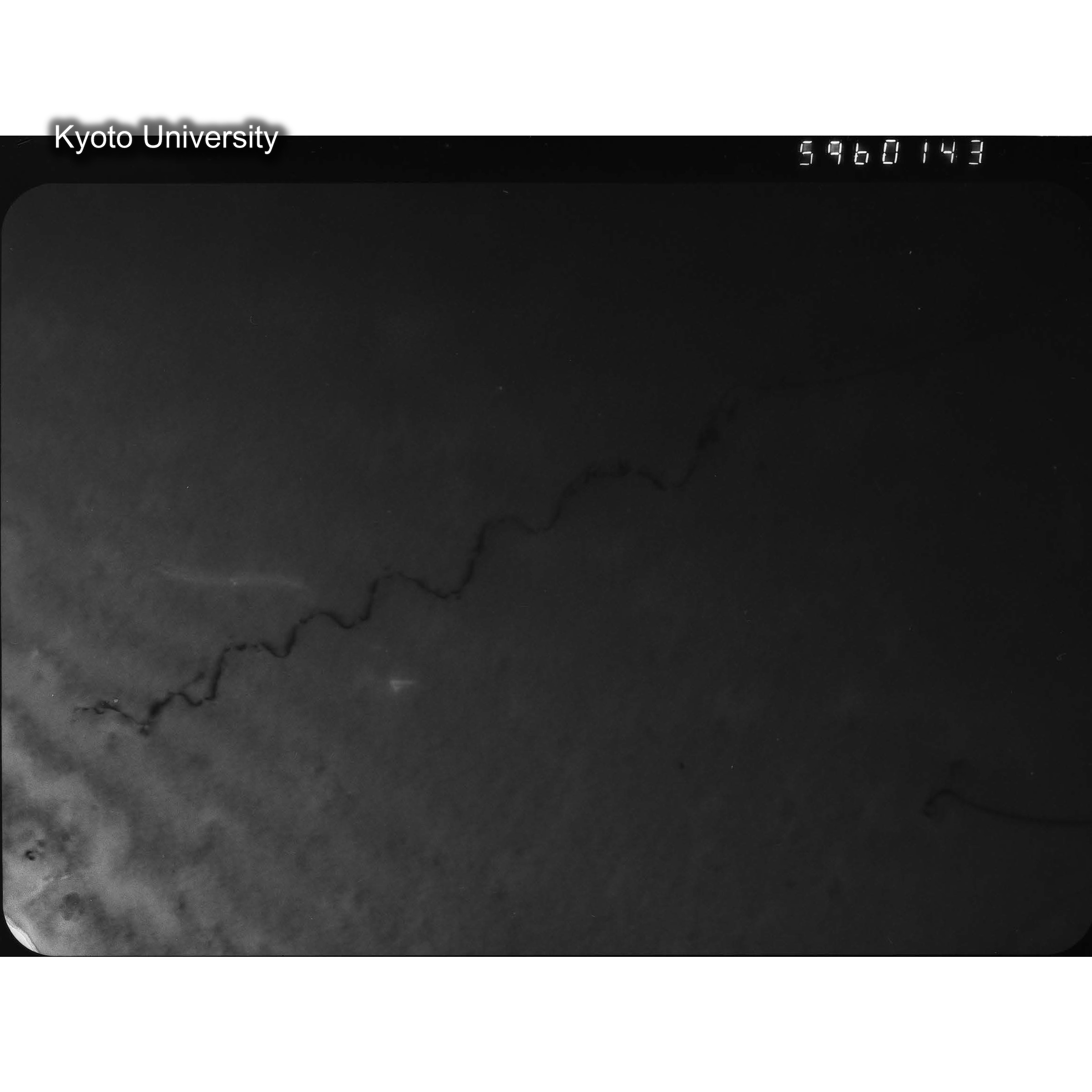 [ネガフィルム, Lシリーズ] L-60143. Ni, A116, RTNS-II, 290℃(Hin), M, BF. (2)