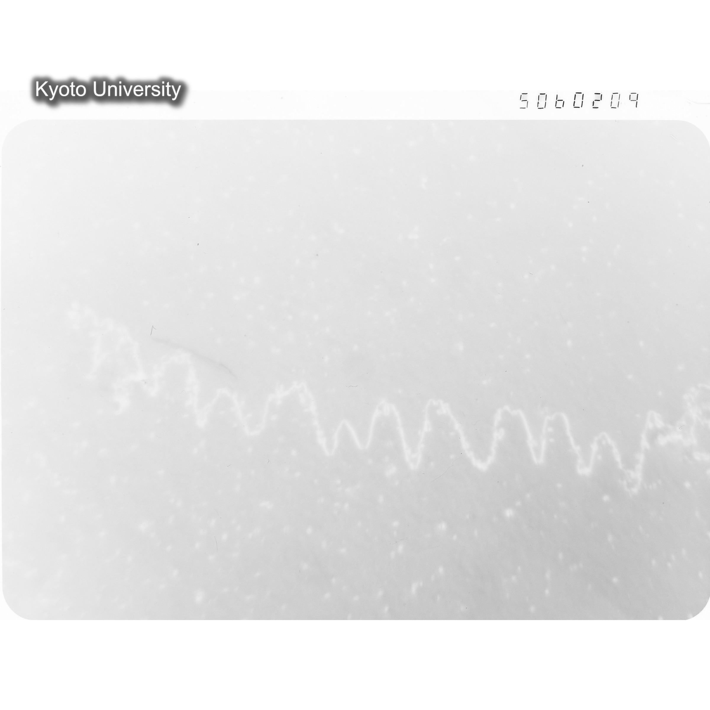 [ネガフィルム, Lシリーズ] L-60209. Ni, RTNS-II, 290℃(Hin), S, BF, 50K. (1)