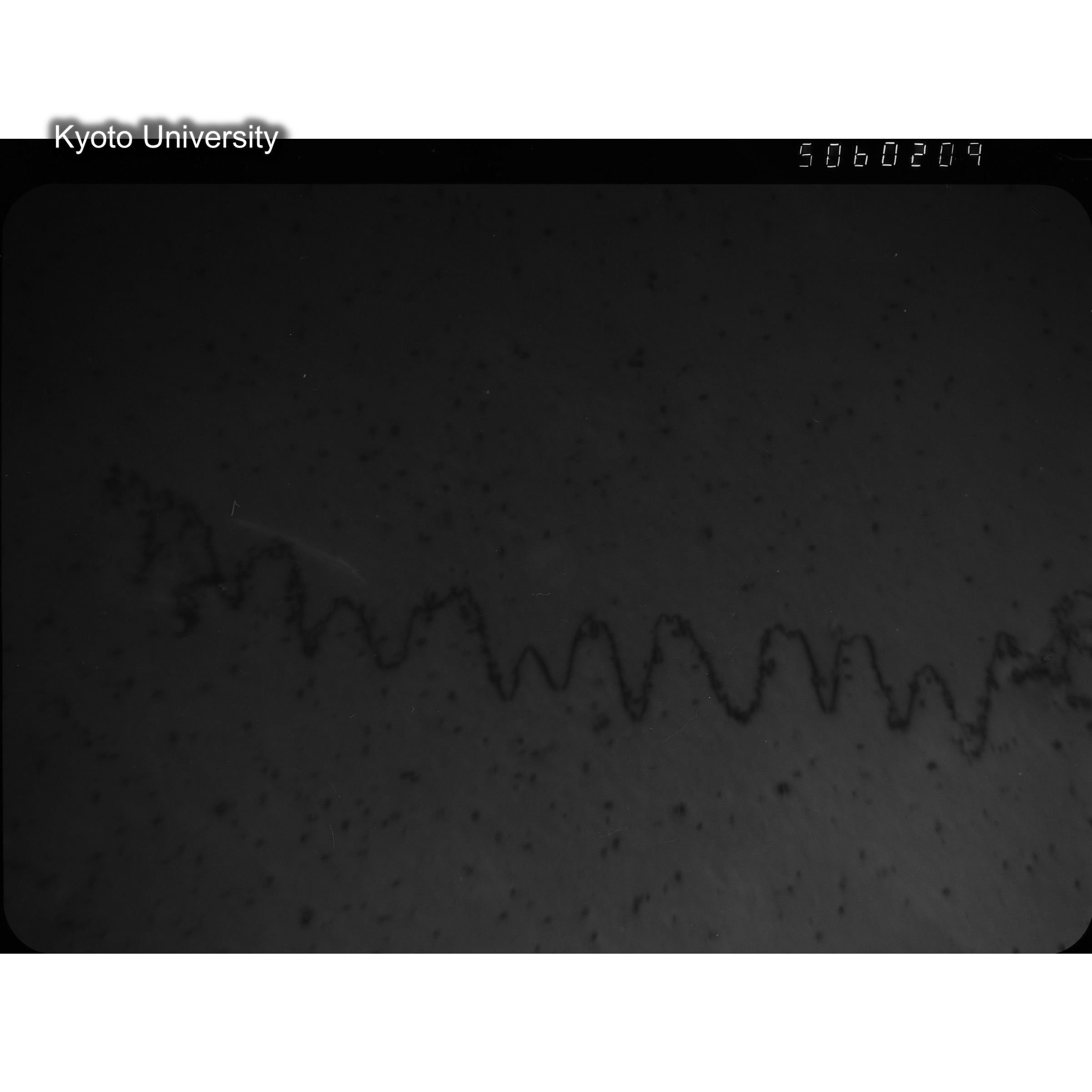 [ネガフィルム, Lシリーズ] L-60209. Ni, RTNS-II, 290℃(Hin), S, BF, 50K. (2)