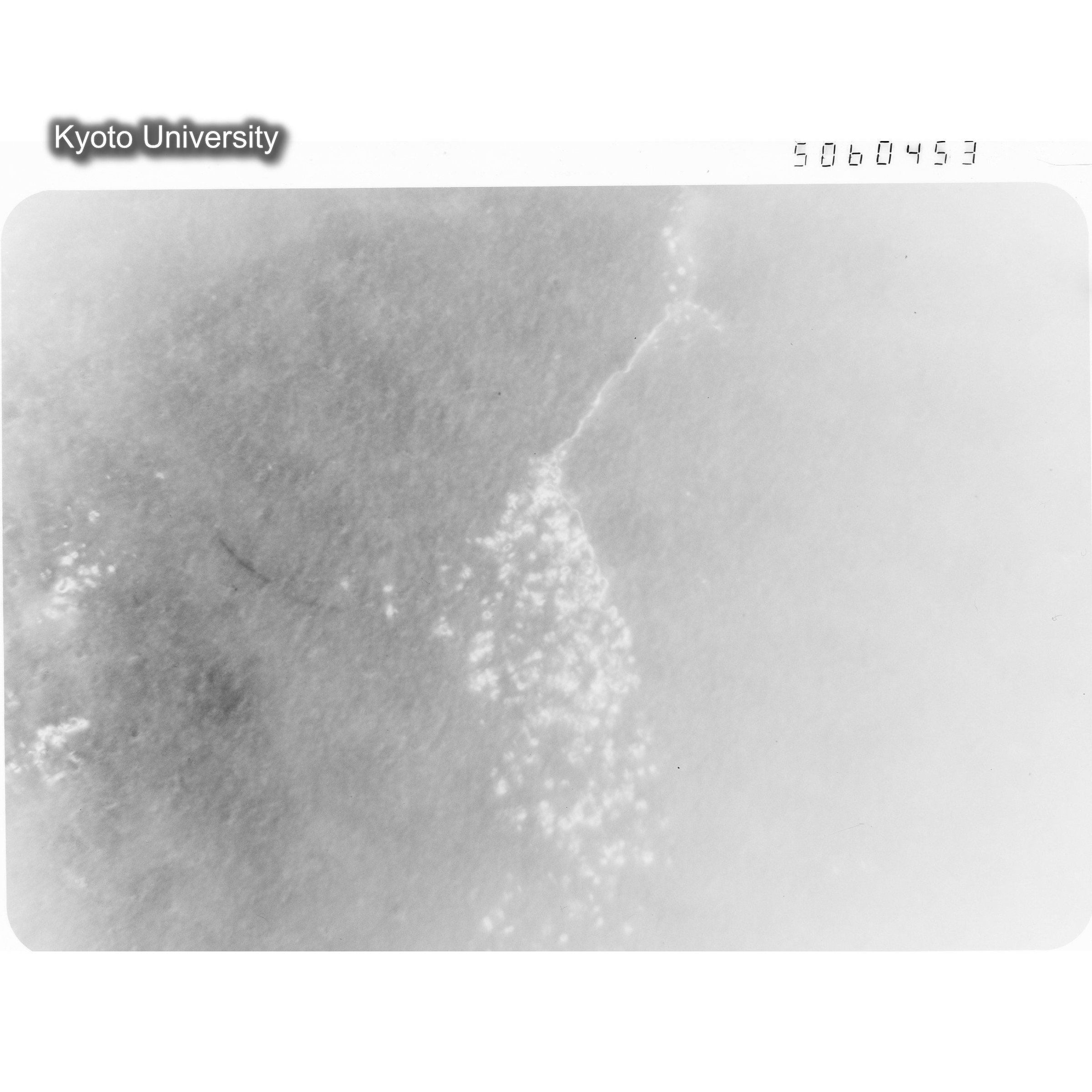 [ネガフィルム, Lシリーズ] L-60453. Ni-2Cu, RTNS-II, 290(Hin), M, BF. (1)