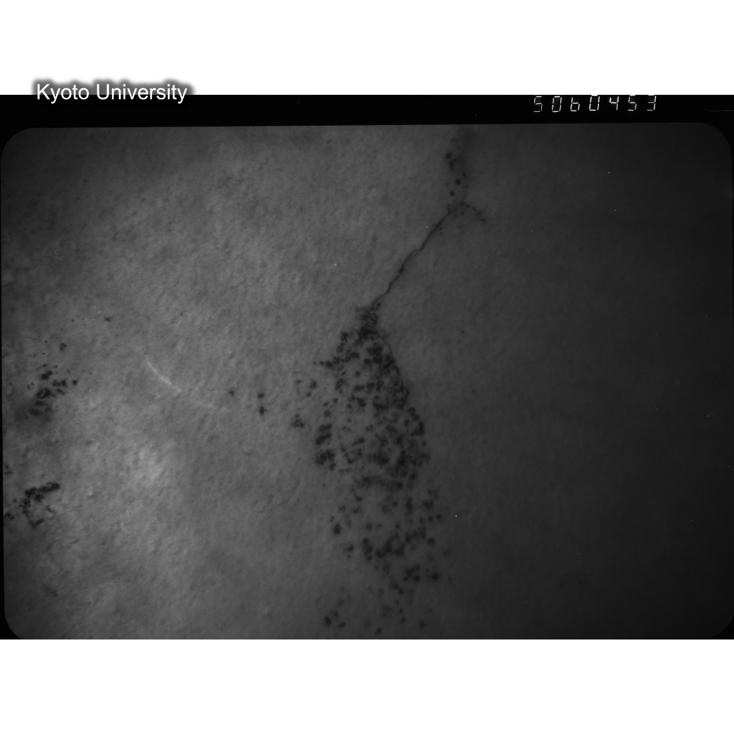 [ネガフィルム, Lシリーズ] L-60453. Ni-2Cu, RTNS-II, 290(Hin), M, BF. (2)