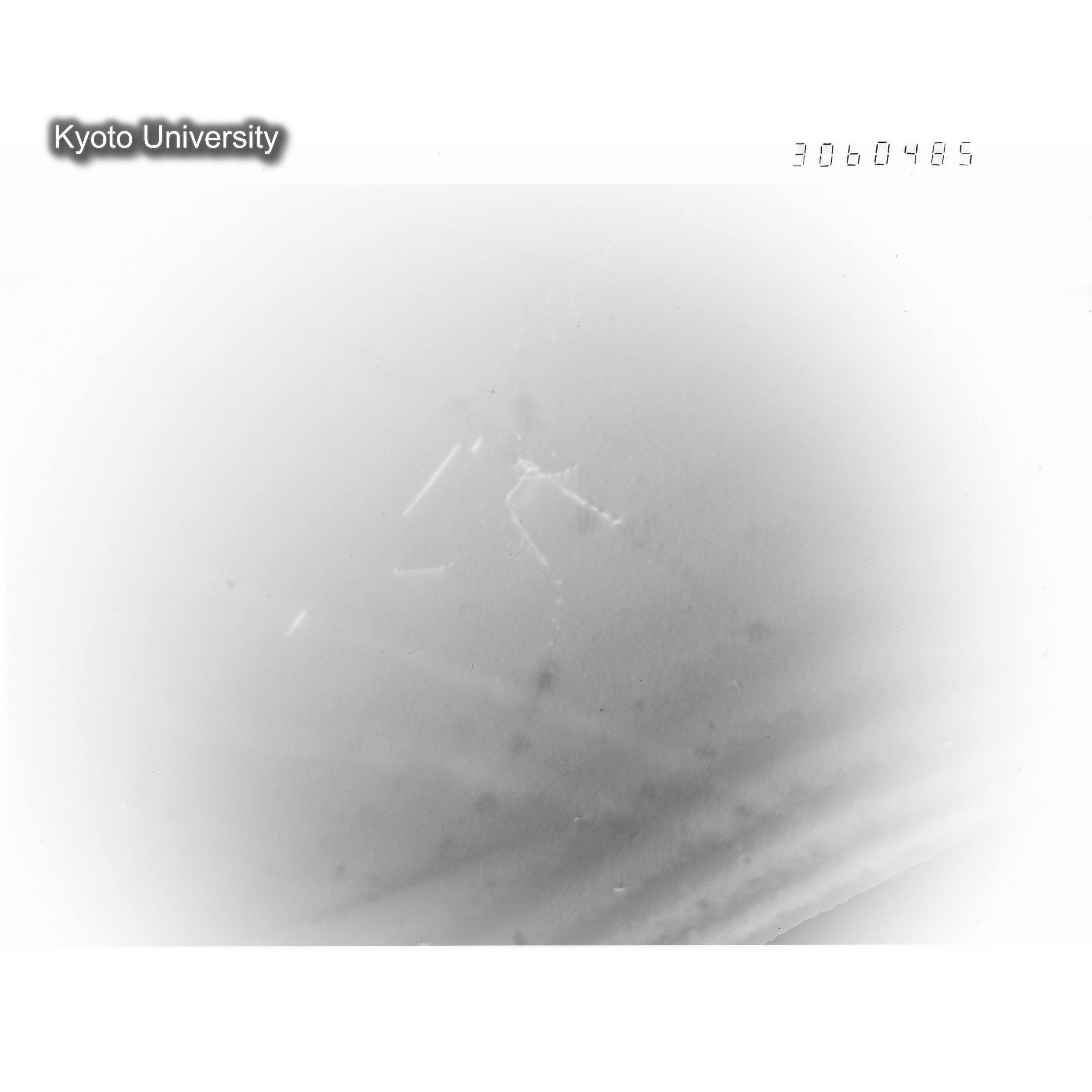 [ネガフィルム, Lシリーズ] L-60485. Ni-2Cu, RTNS-II, 290(Hin), WW, BF. (1)