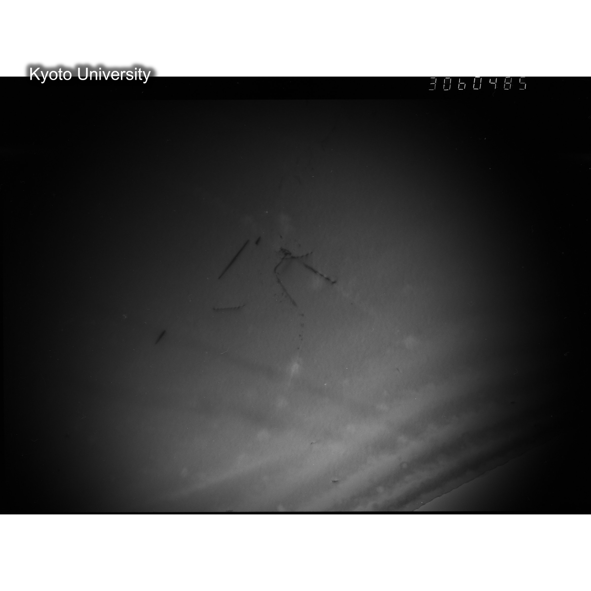 [ネガフィルム, Lシリーズ] L-60485. Ni-2Cu, RTNS-II, 290(Hin), WW, BF. (2)