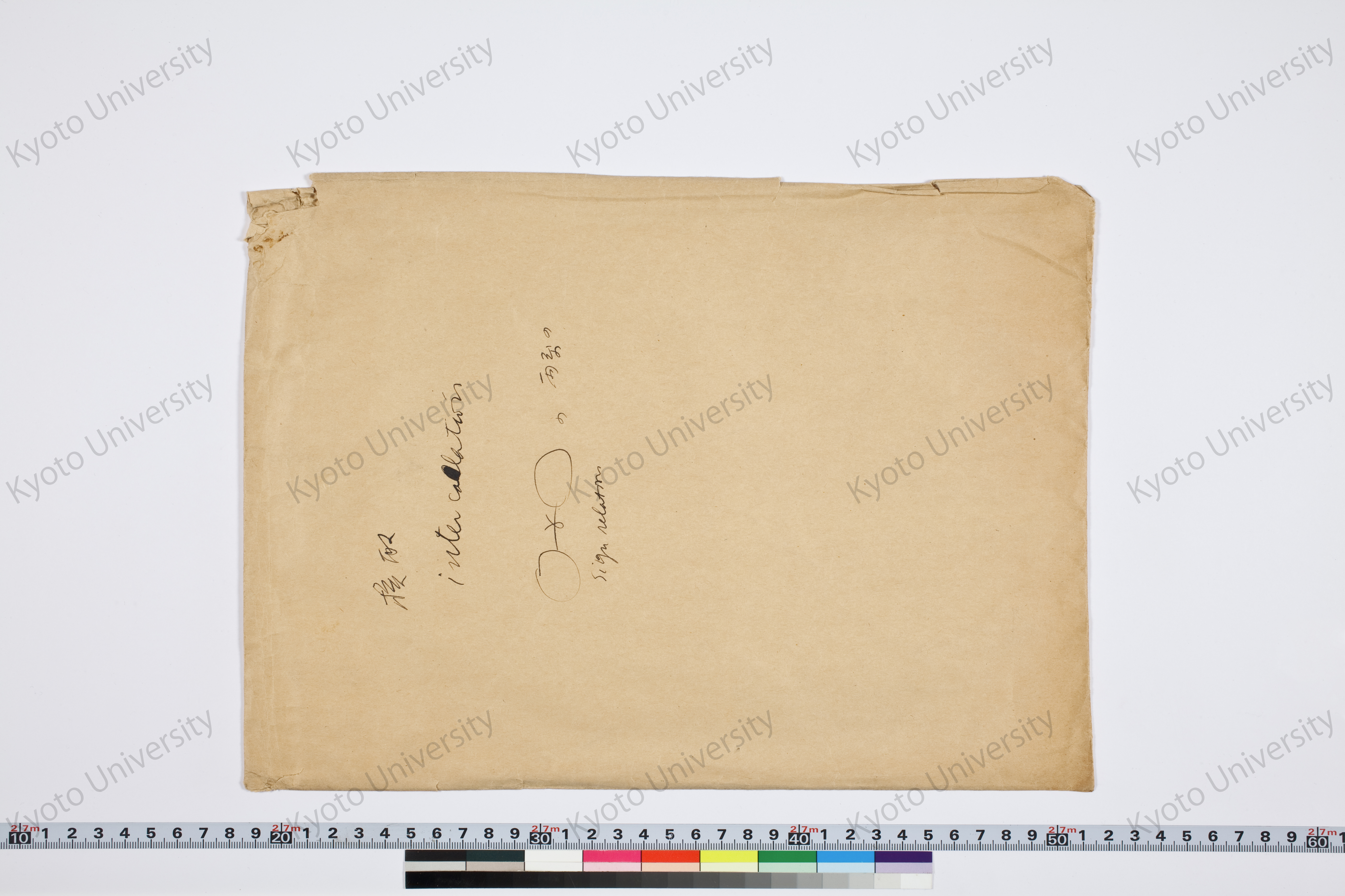 核酸intercalation (1)