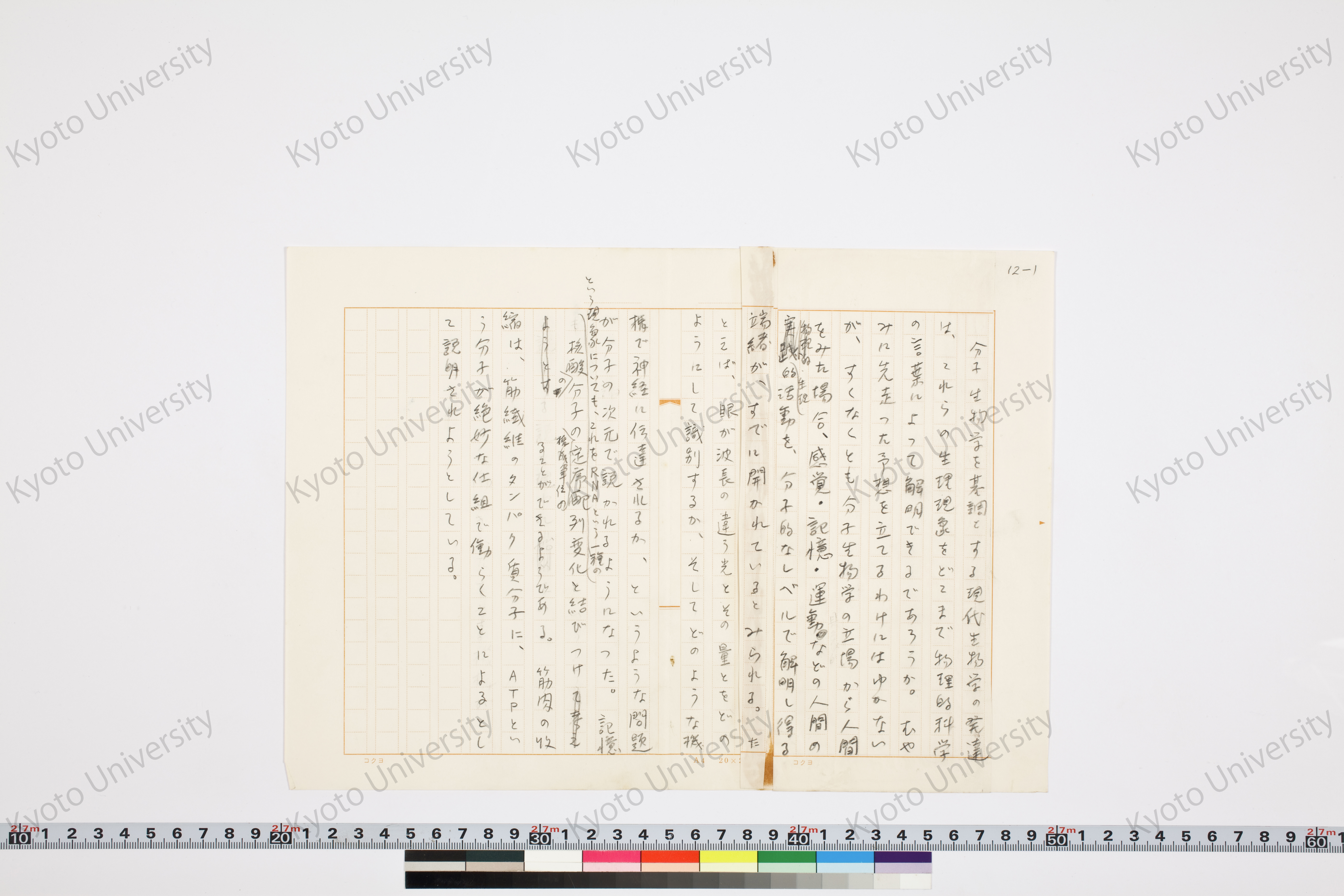 科学的人間と生物的人間─二元的人間像における新層─ (13)