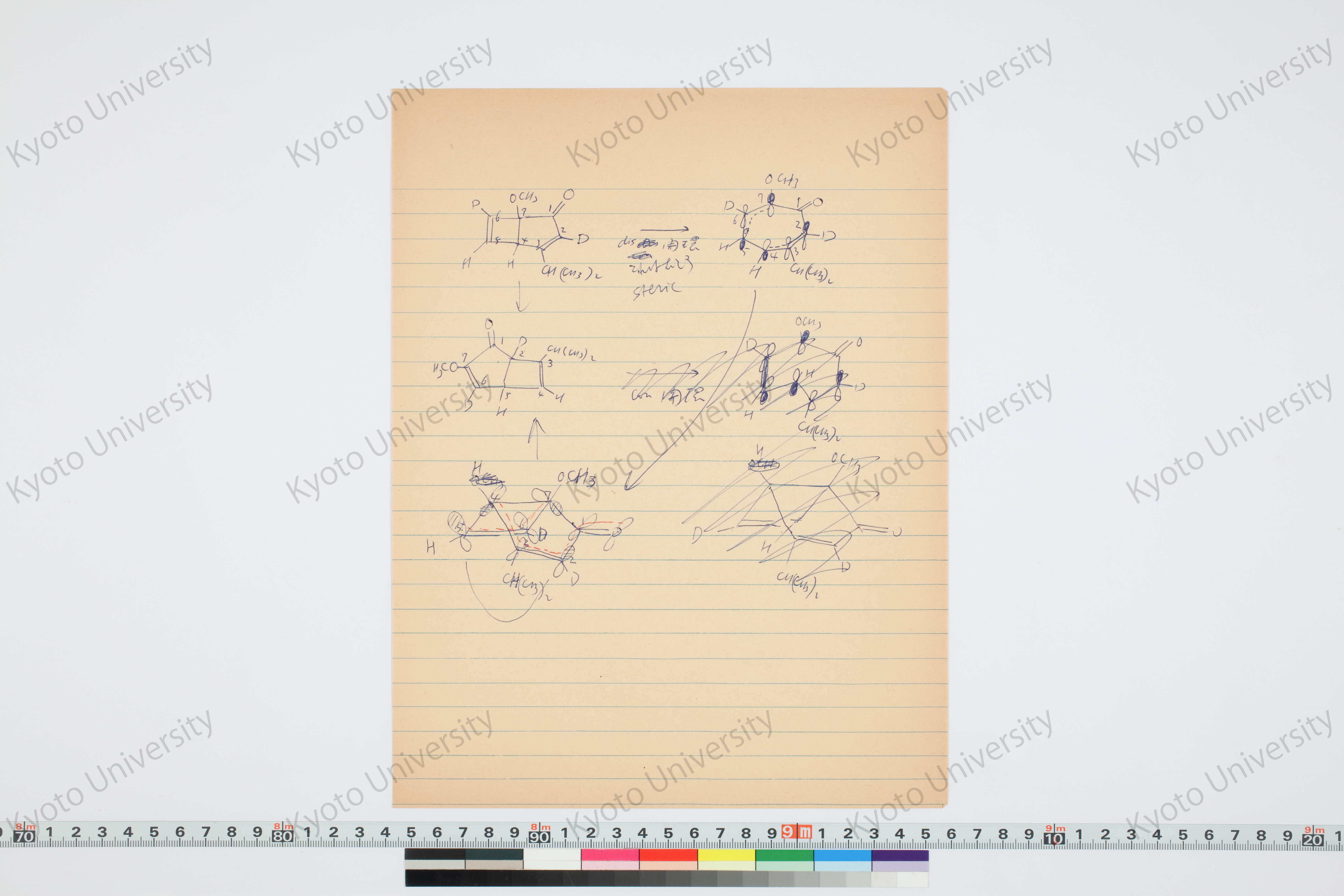 ［研究メモ230-13/024］ (1)
