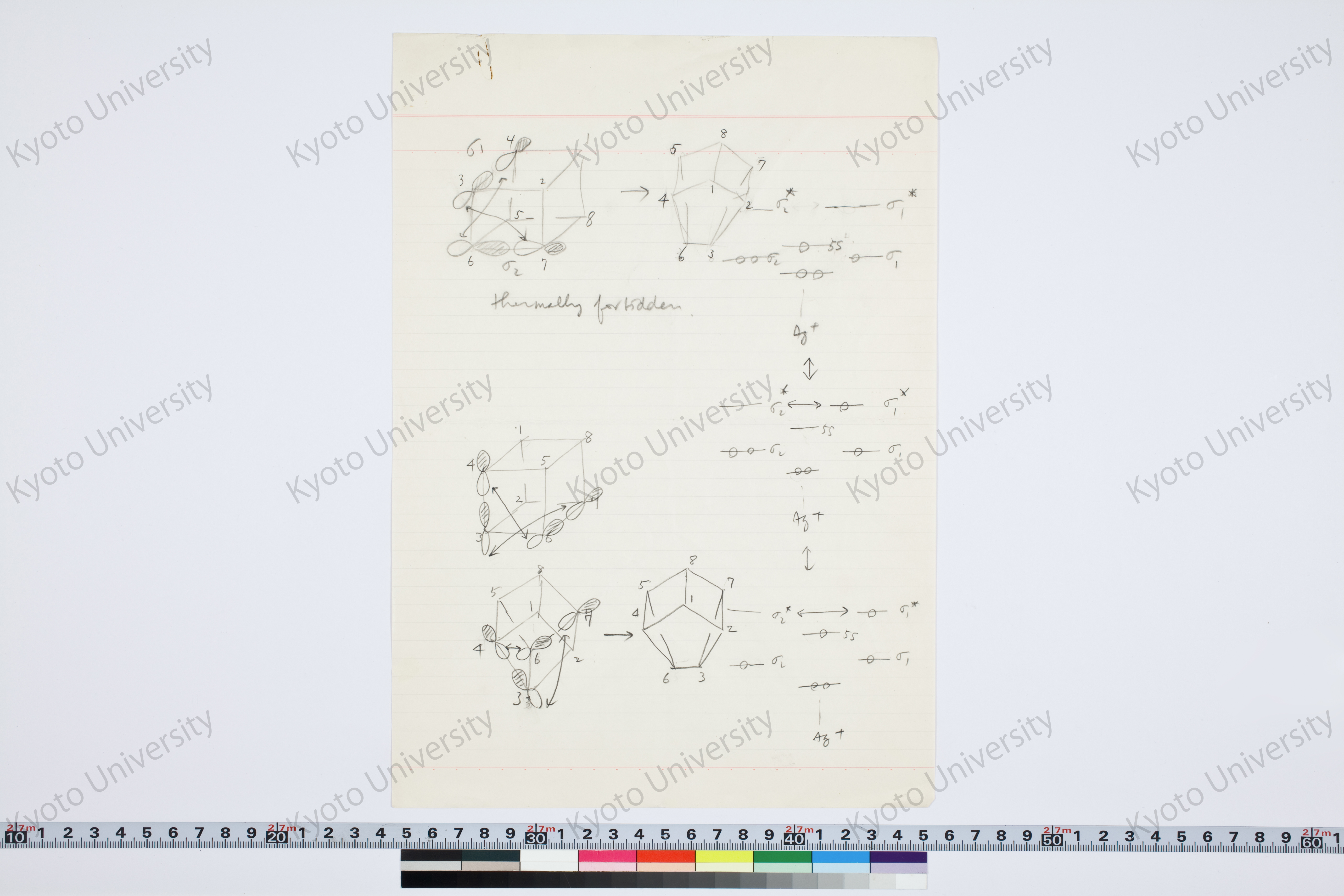 ［研究メモ230-20/001］ (1)
