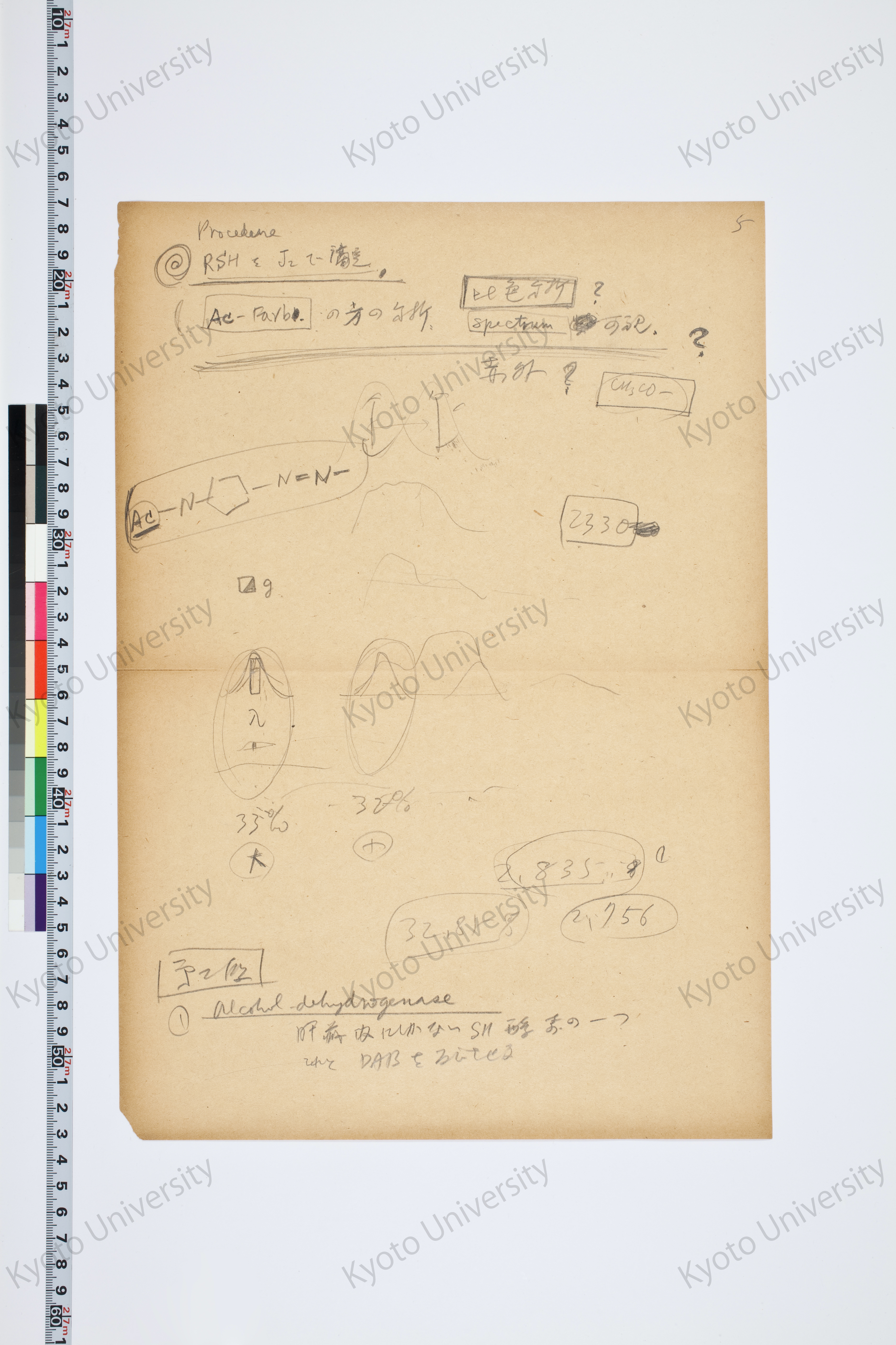 ［研究メモ244-04/008］ (1)