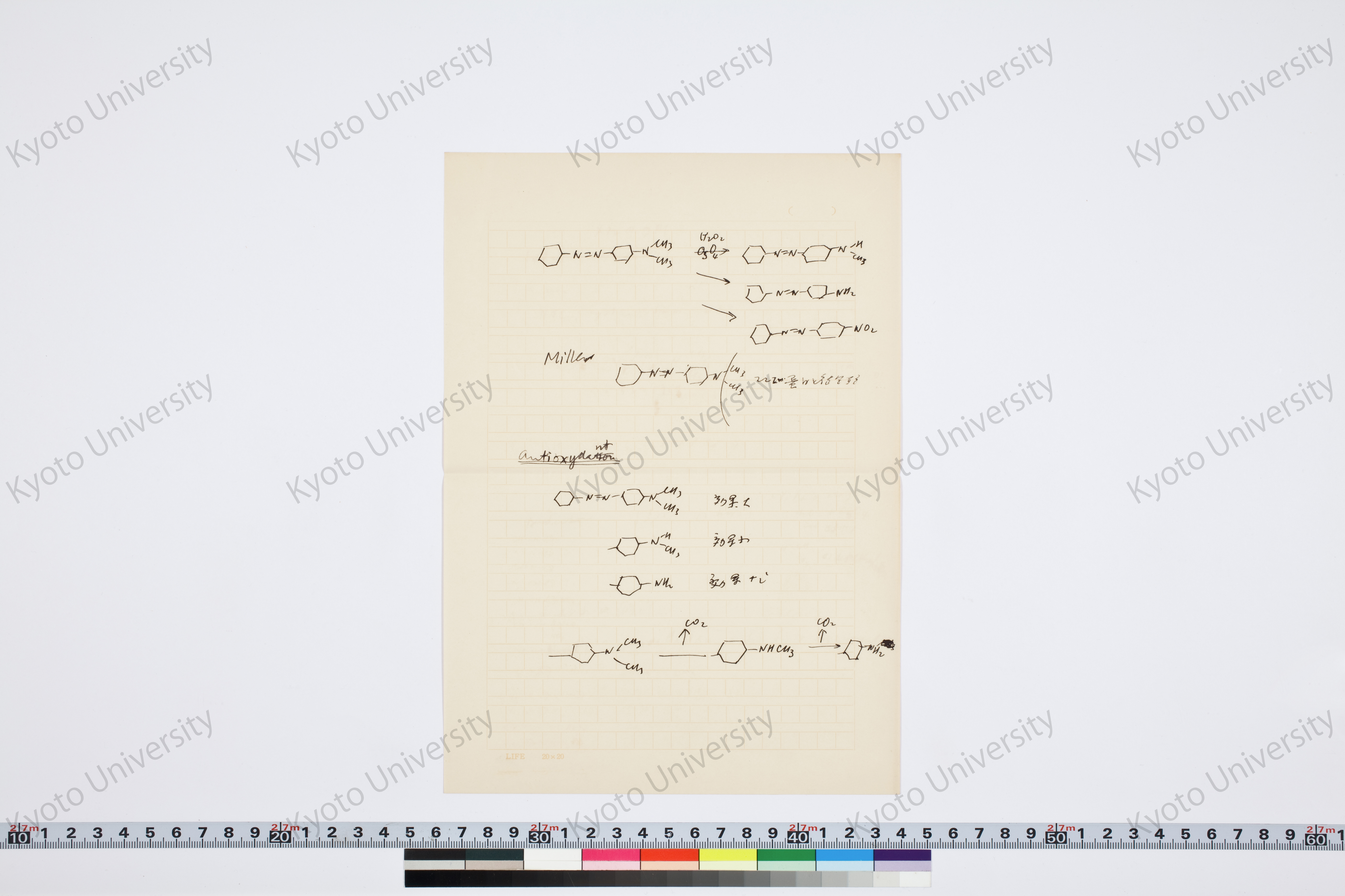 ［研究メモ244-07/003］ (1)
