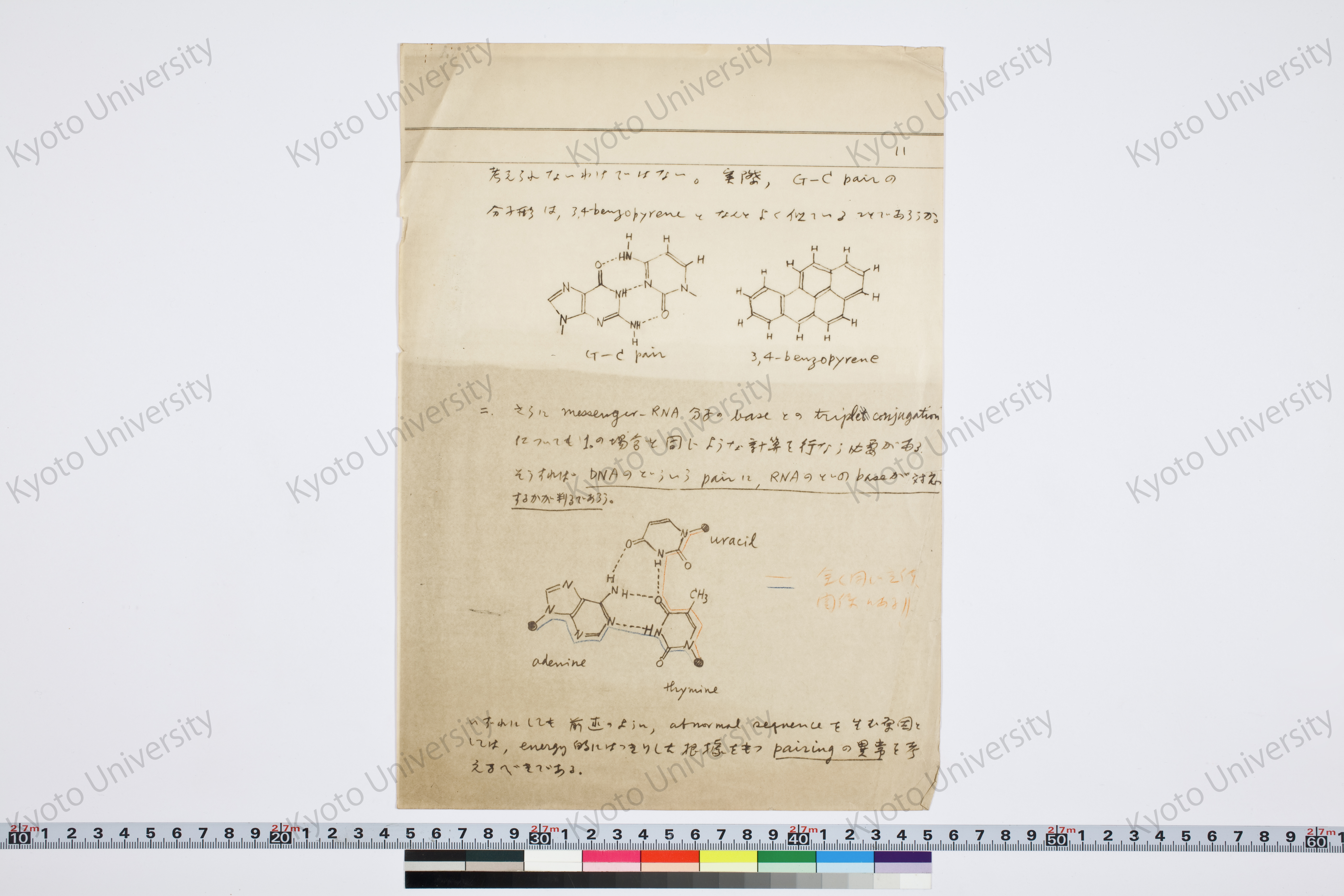 ［研究メモ255-11/002］ (1)