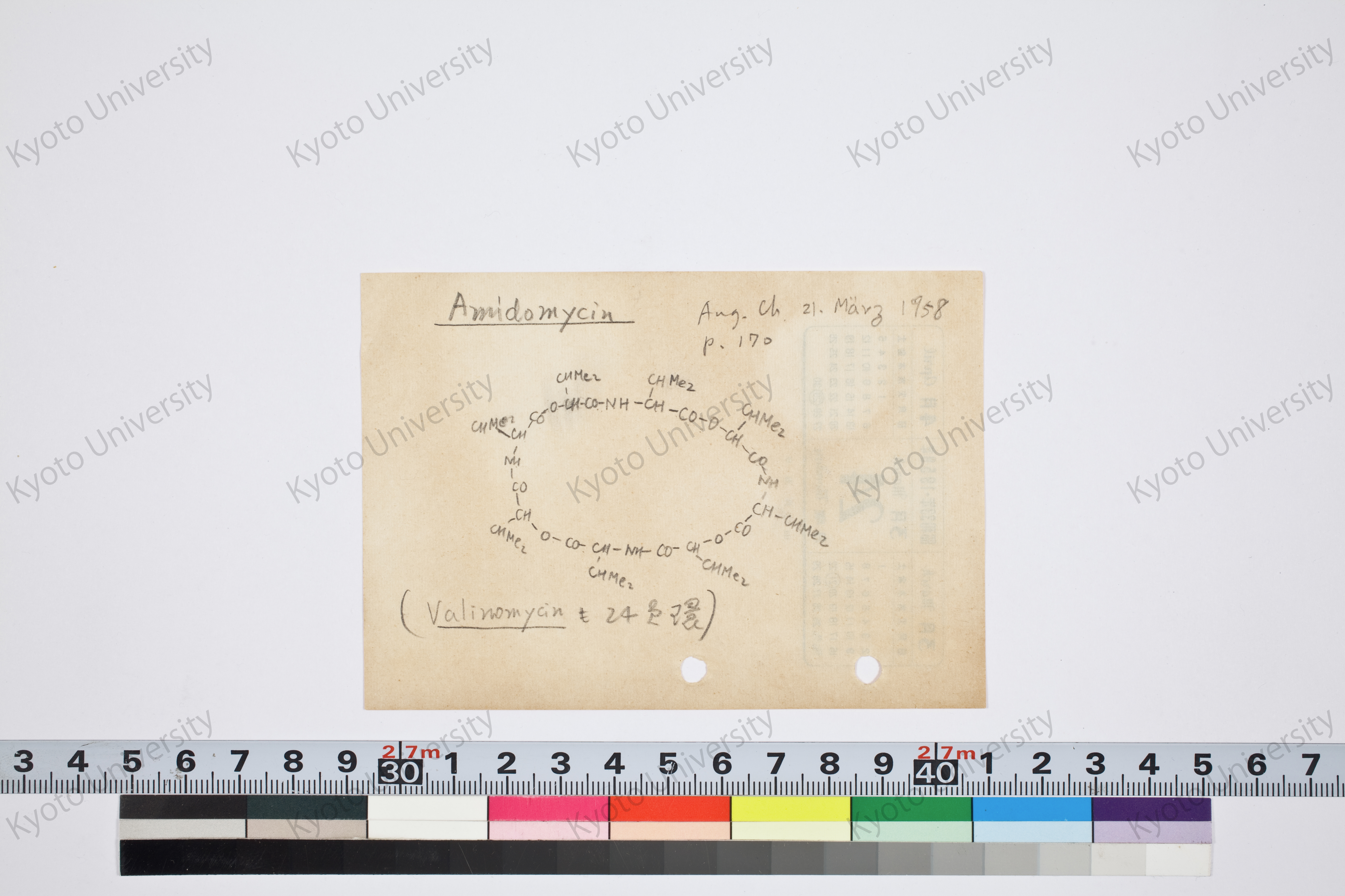 ［研究メモ262-02/001］ (1)