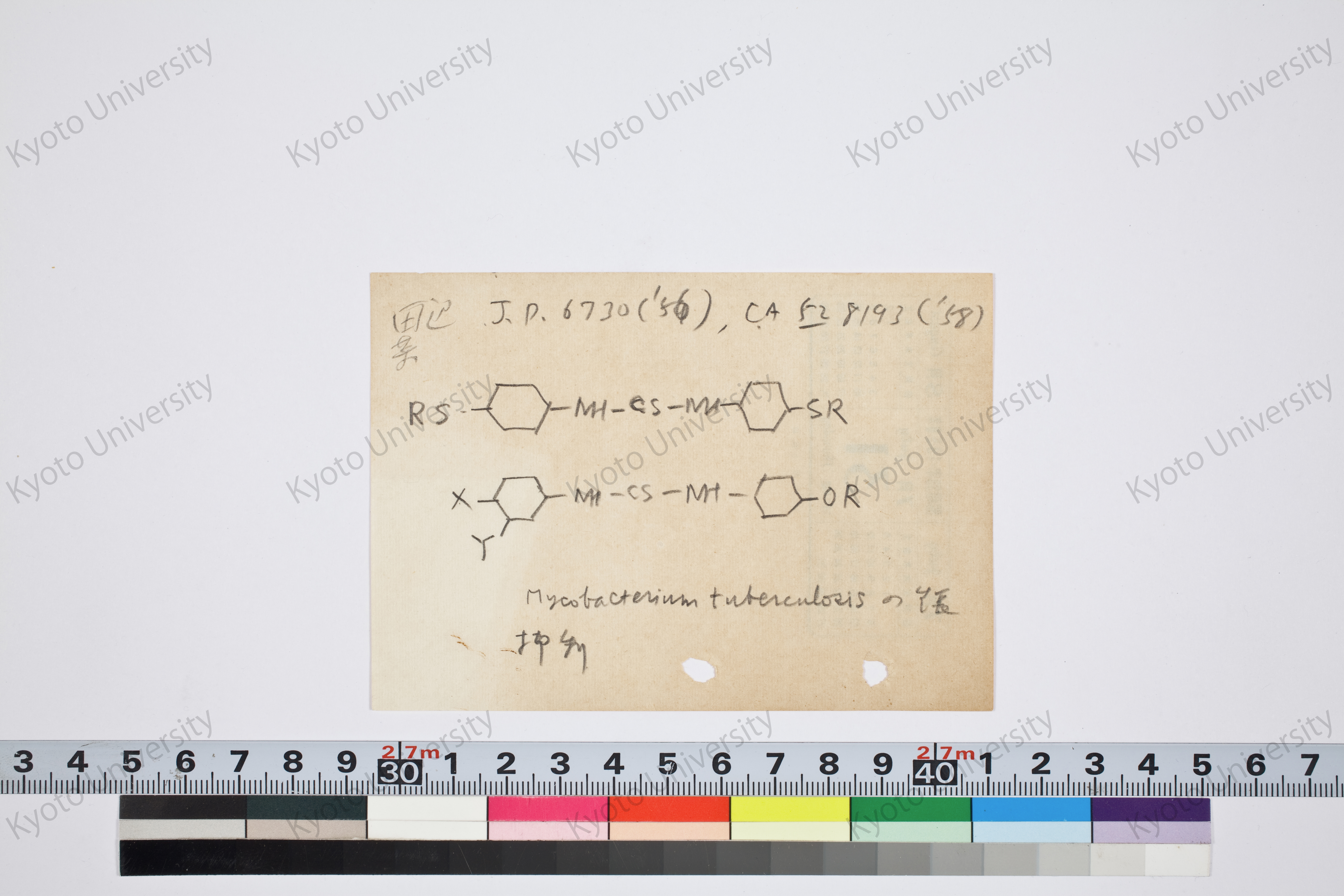 ［研究メモ262-02/004］ (1)