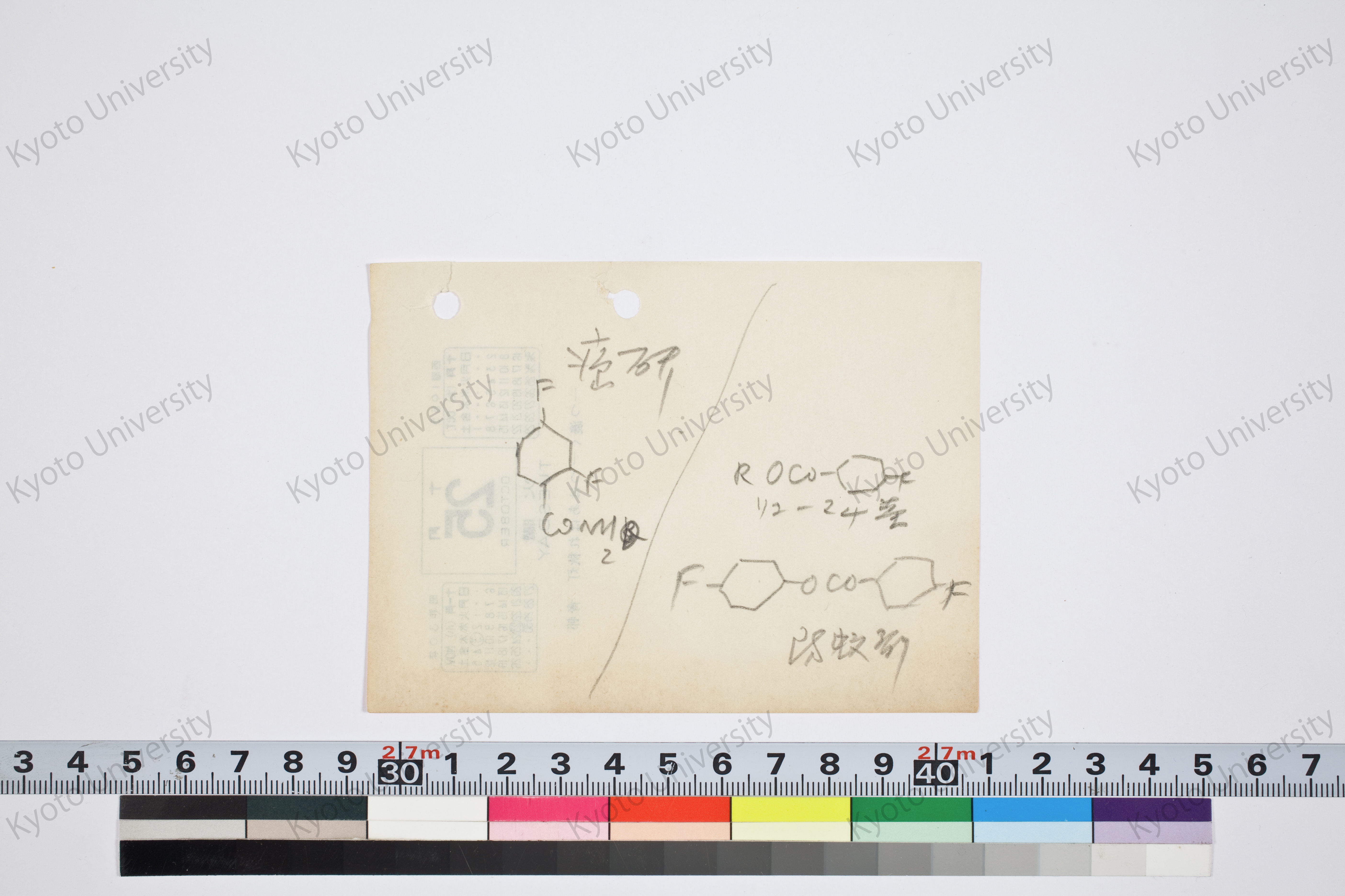 ［研究メモ262-02/005］ (1)