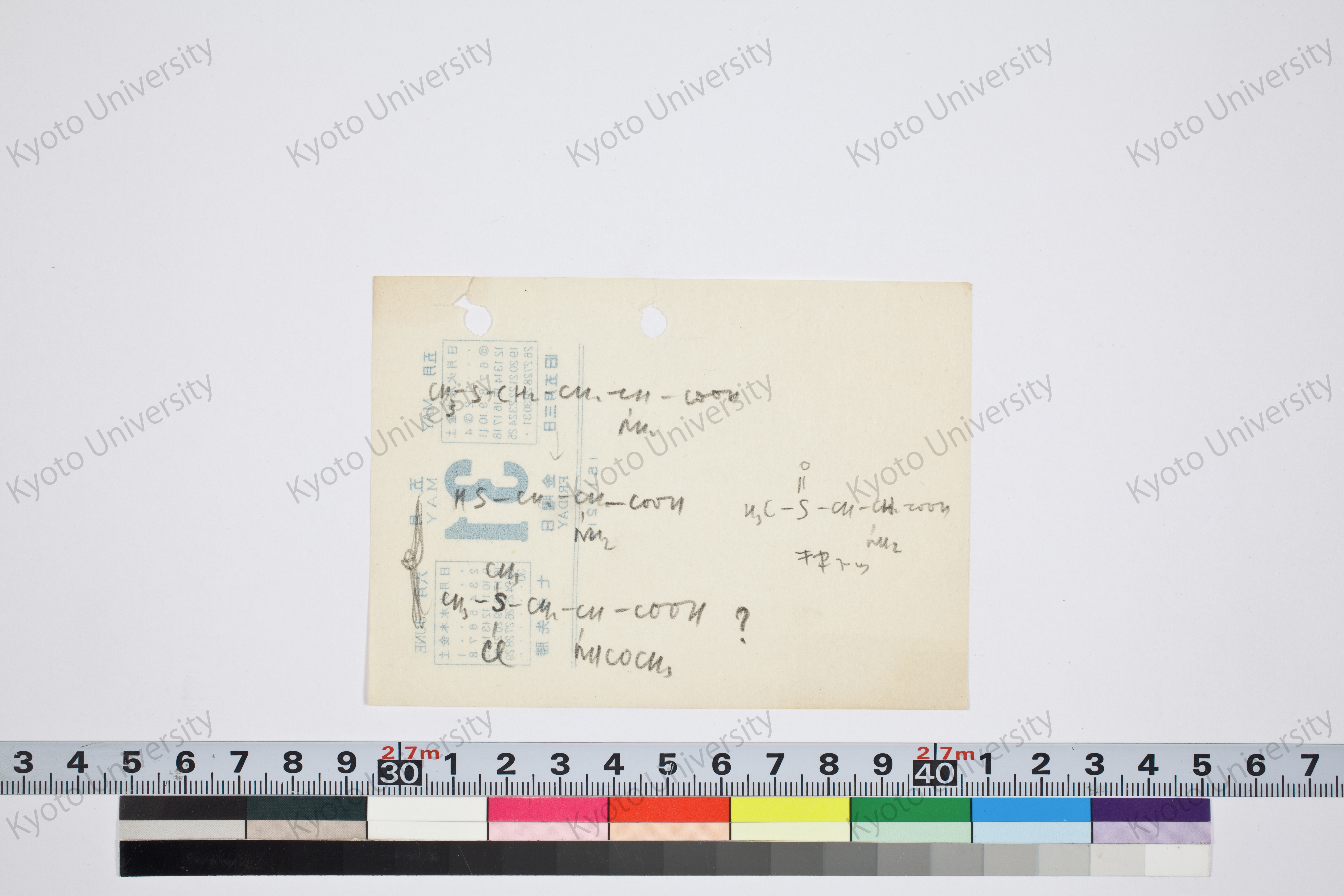 ［研究メモ262-02/006］ (1)