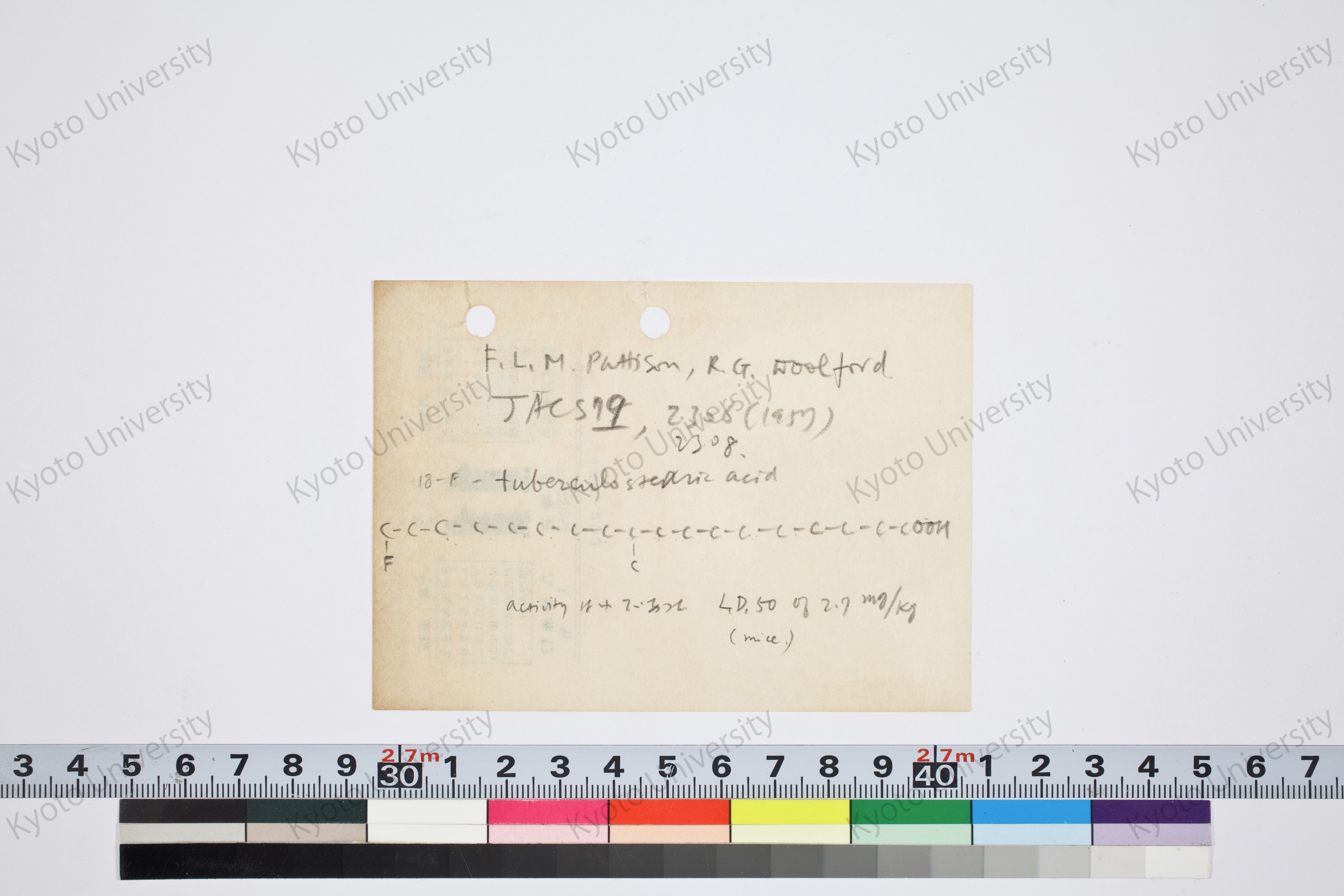 ［研究メモ262-02/010］ (1)