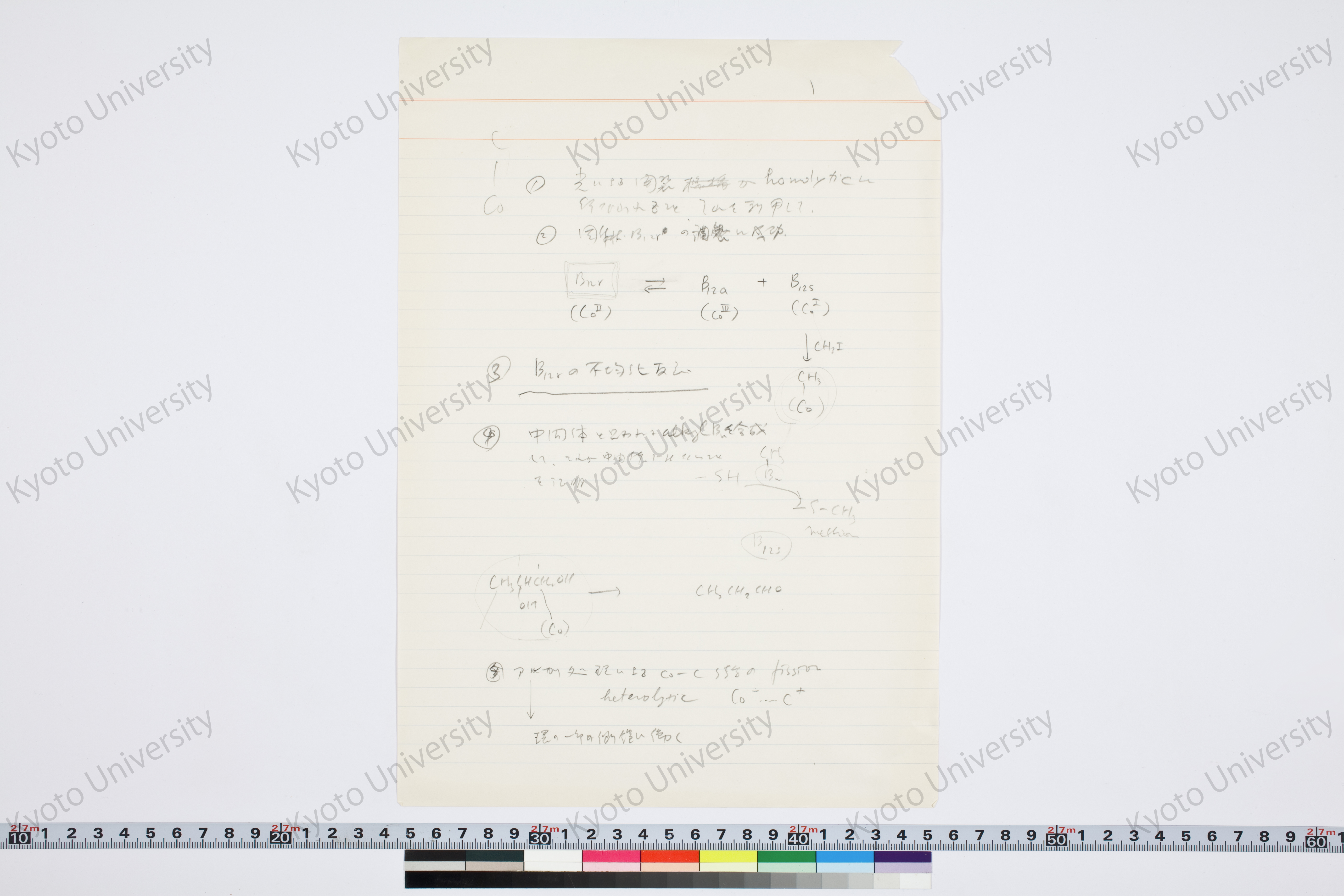 ［研究メモ269-02/005］ (1)