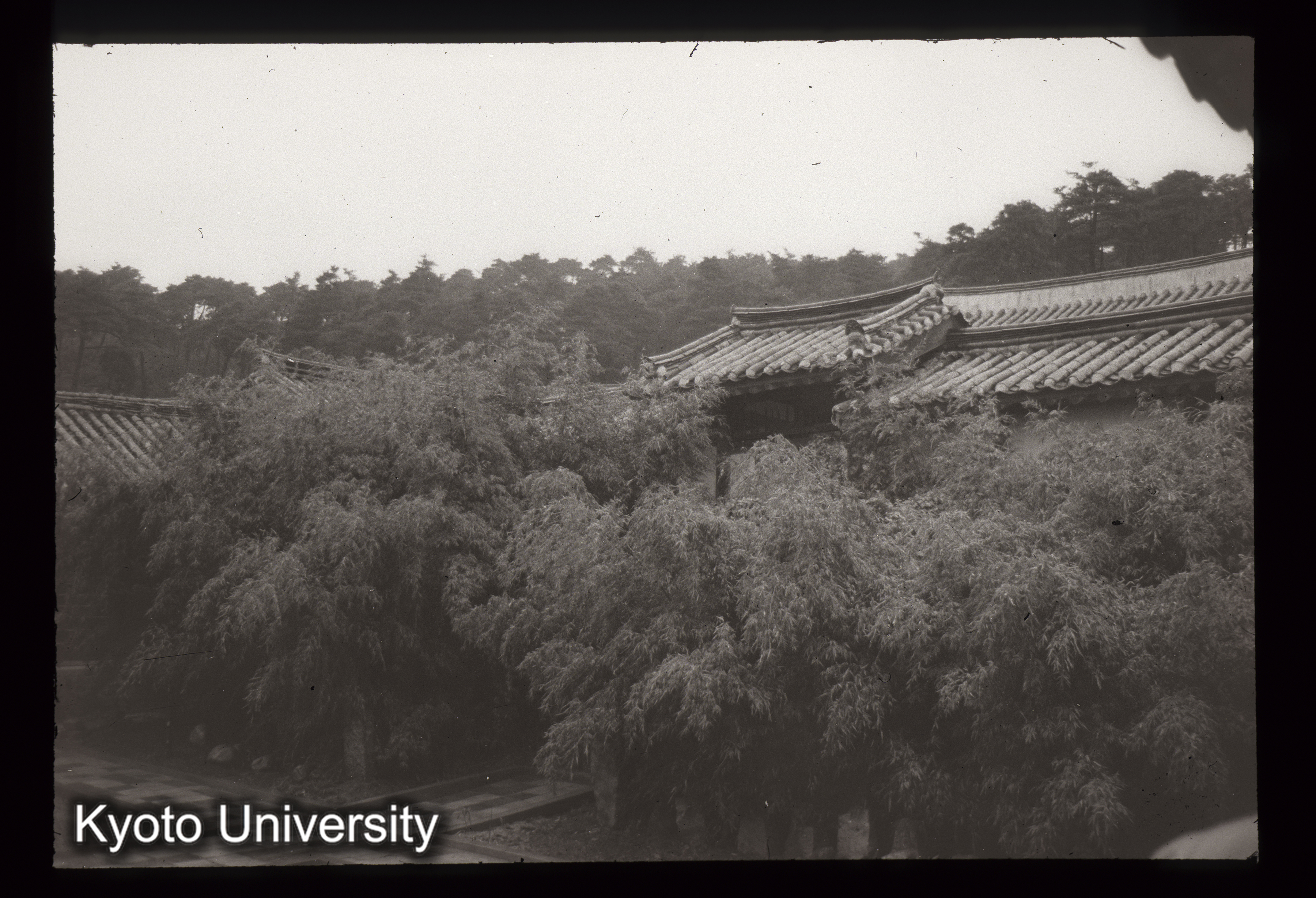 87_江陵文廟大成殿前庭 (1)