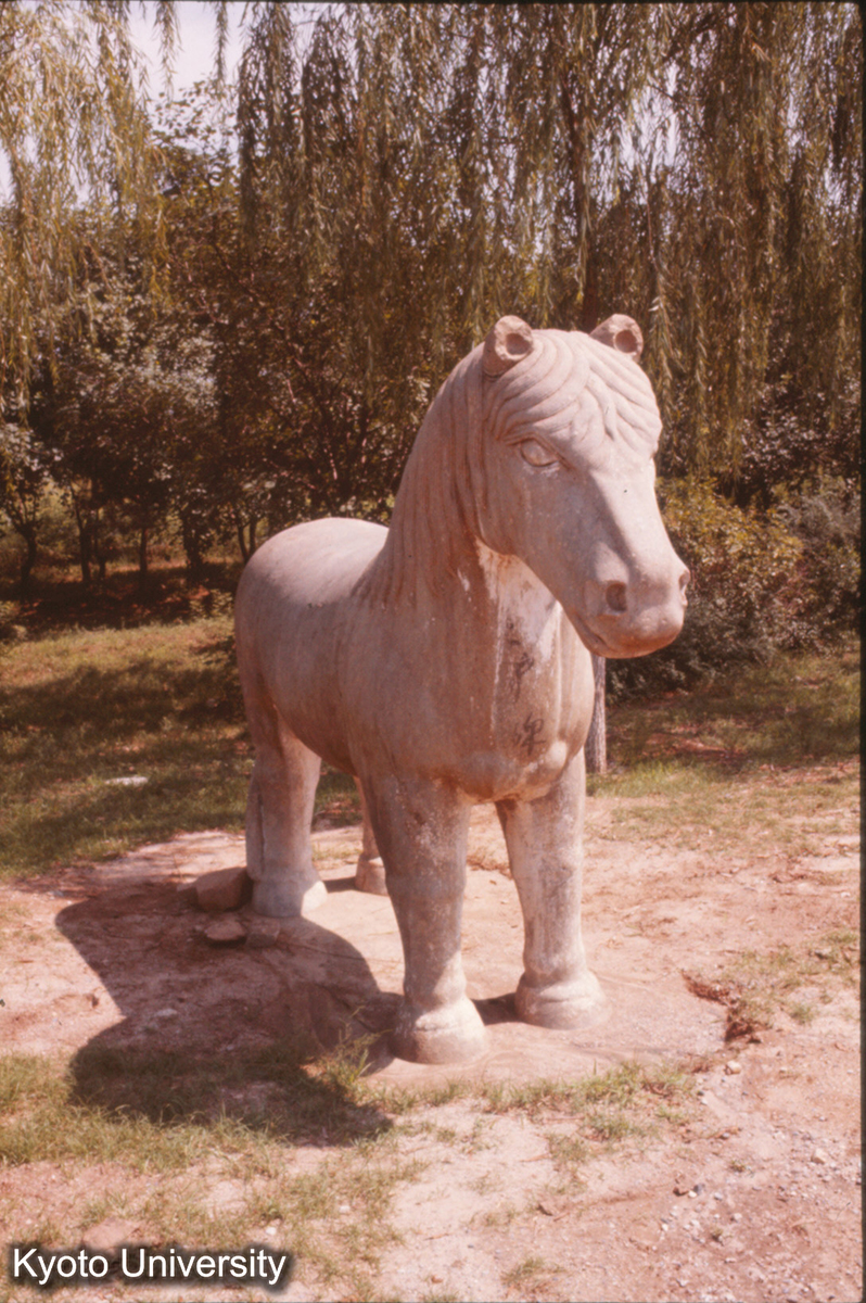 56_十三陵 神道石馬 (1)