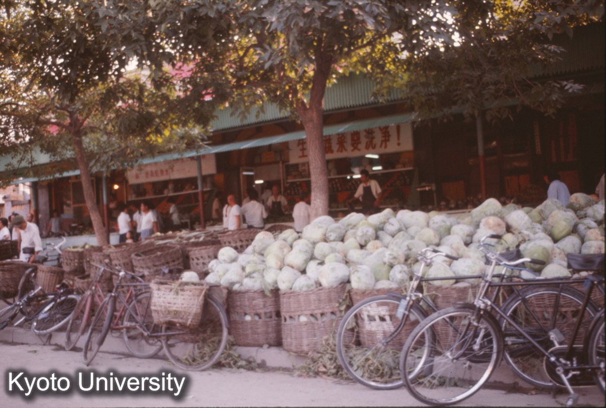 81_北京市内 とうがん (1)