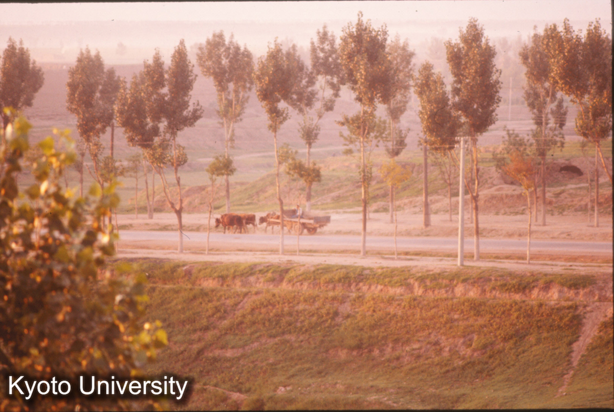 103_大同 早朝（大同賓館より遠望） (1)