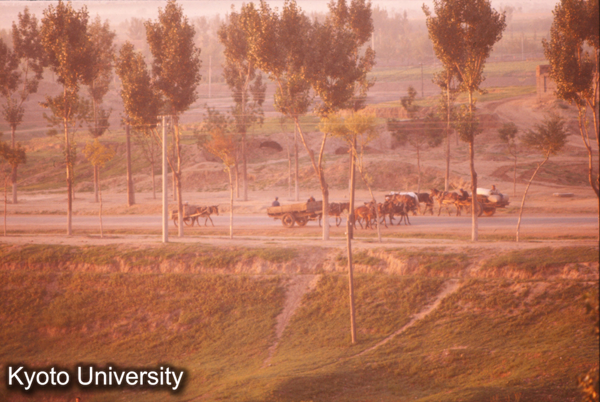 104_大同 早朝 (1)