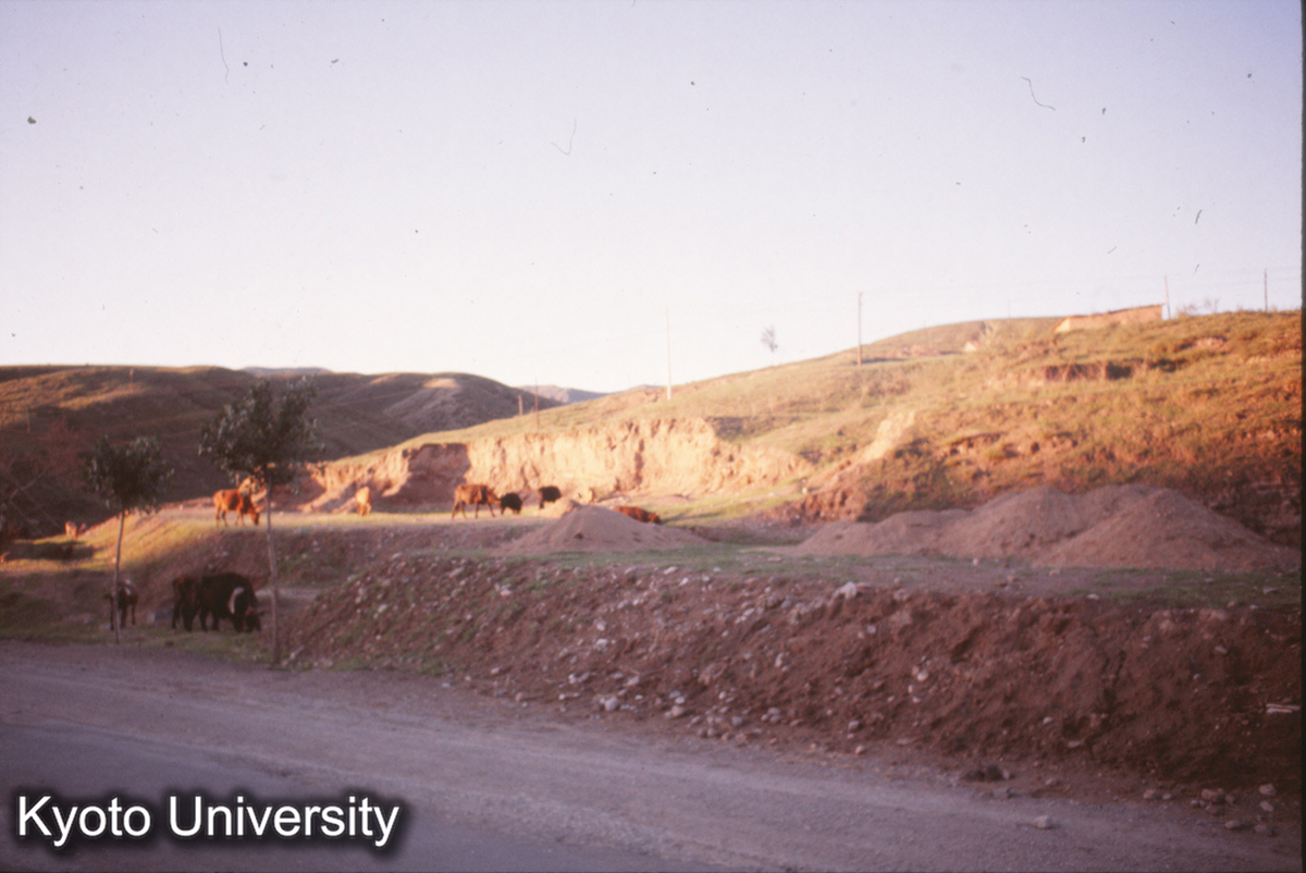 230_大同-雲岡 車窓より (1)