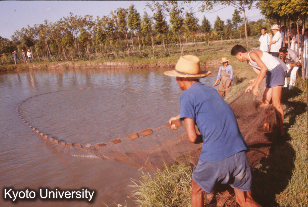 283_上海塘湾人民公社 養魚池 (1)