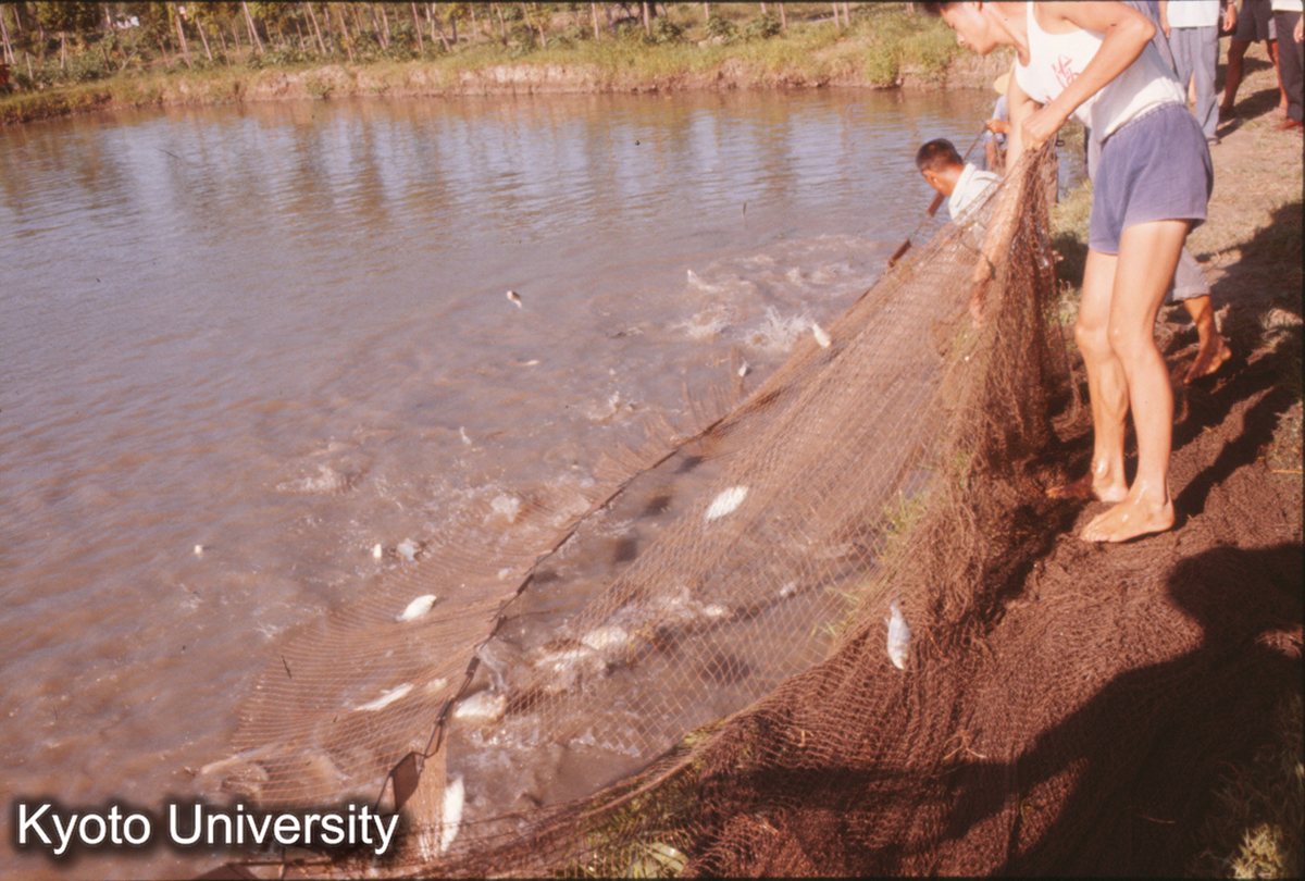 284_上海塘湾人民公社 養魚池 (1)