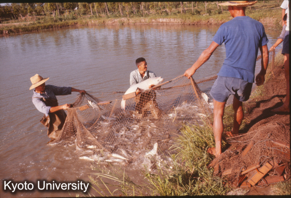 285_上海塘湾人民公社 養魚池 (1)
