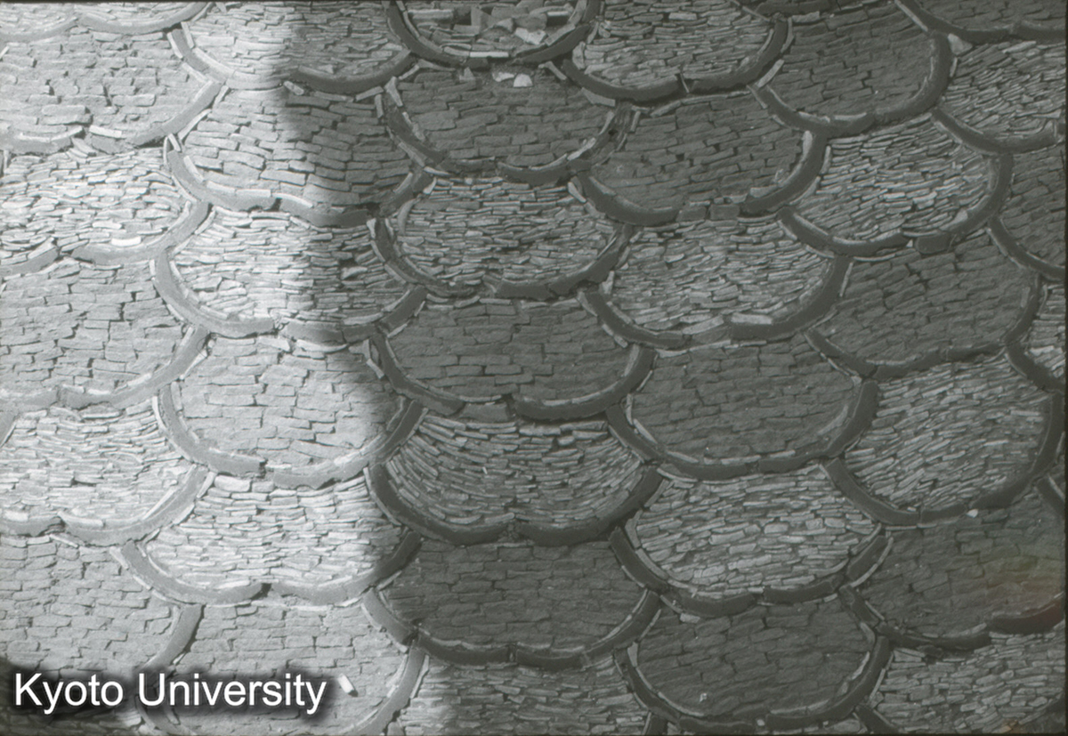 311_上海予園 鋪地 (1)