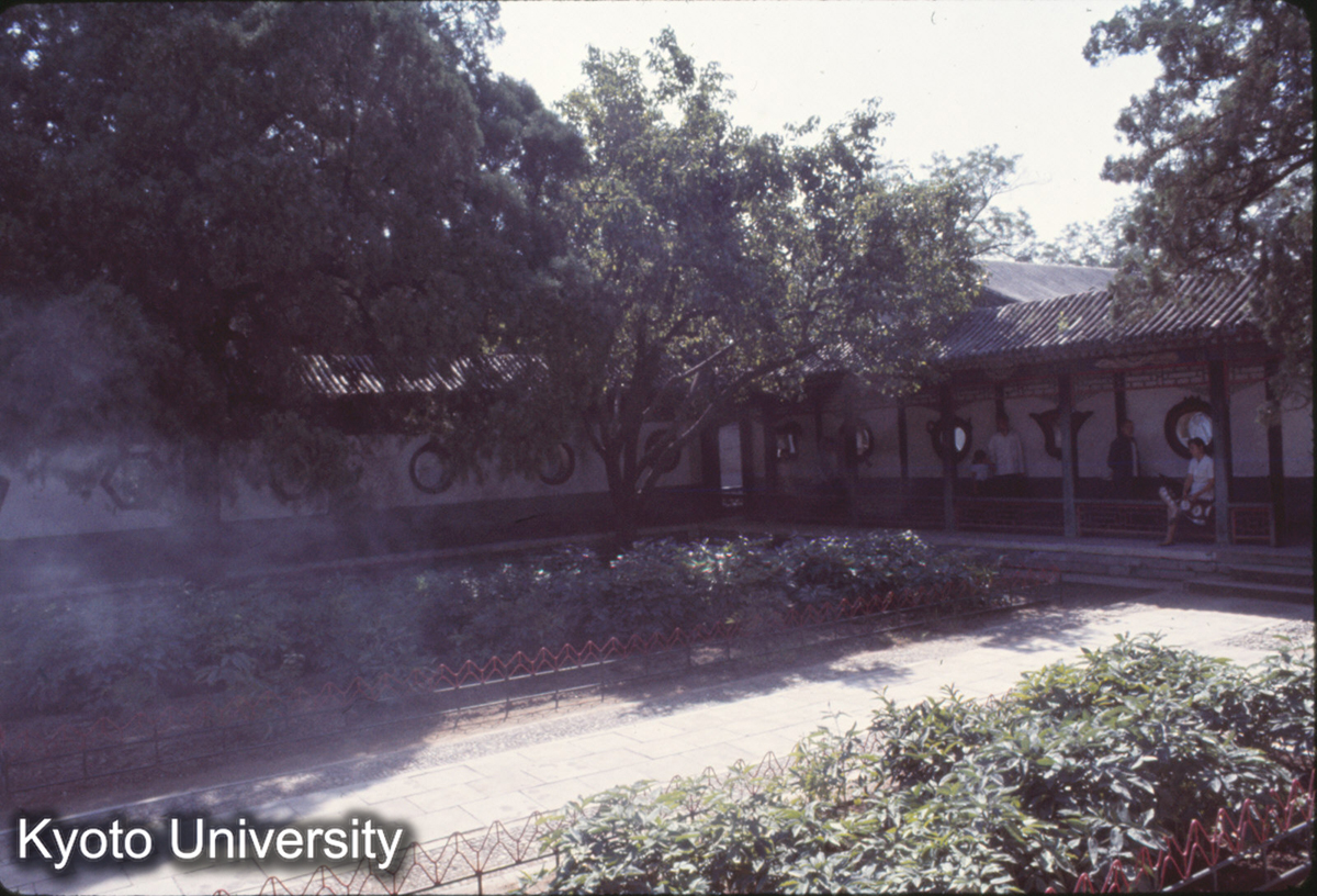 171_頤和園 楽寿堂 什錦灯窓 (1)