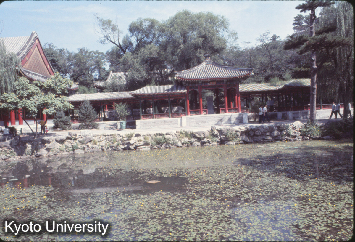 182_頤和園 諧趣園 (1)