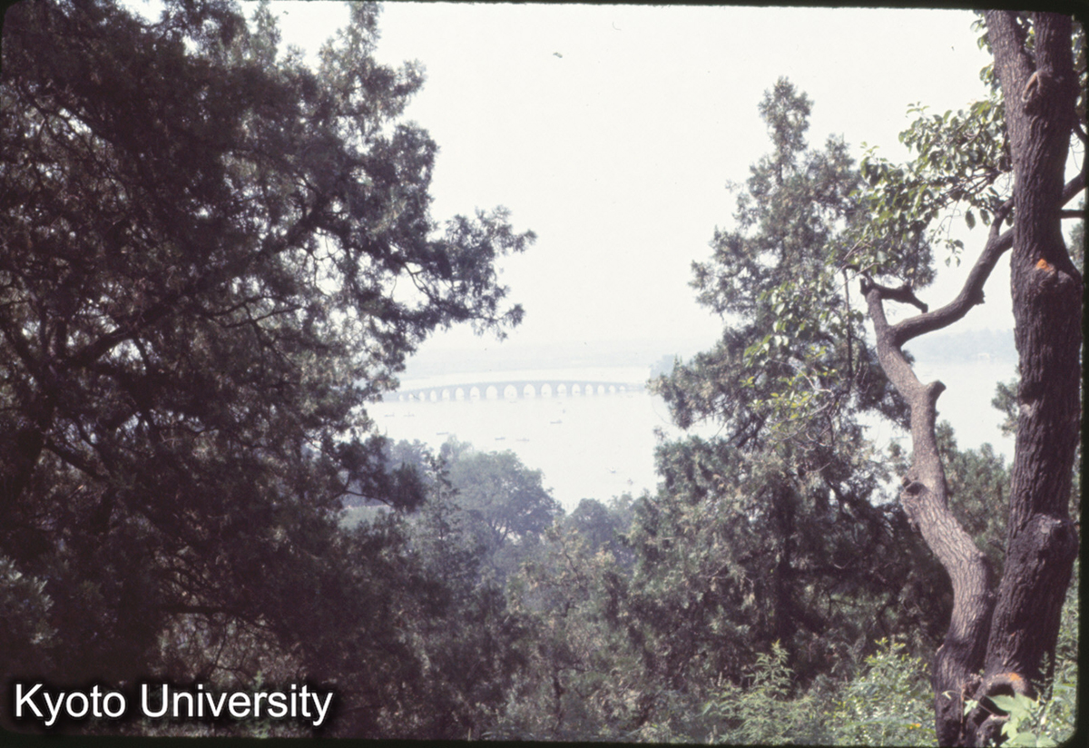 186_頤和園 万寿山頂より十七孔橋 (1)