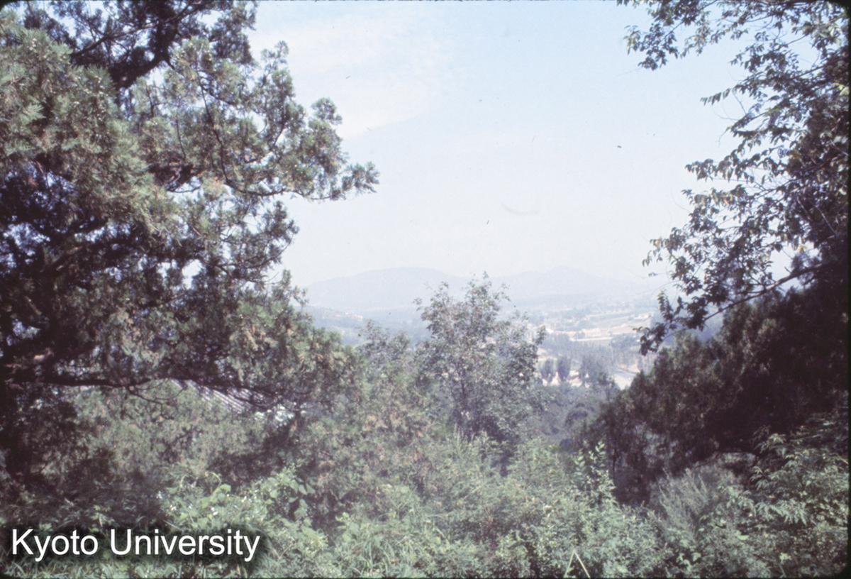 189_万寿山より遠望 (1)