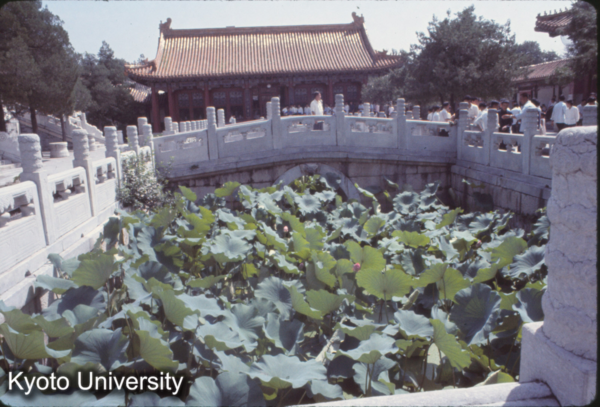 217_頤和園 中心建築前院蓮池 (1)