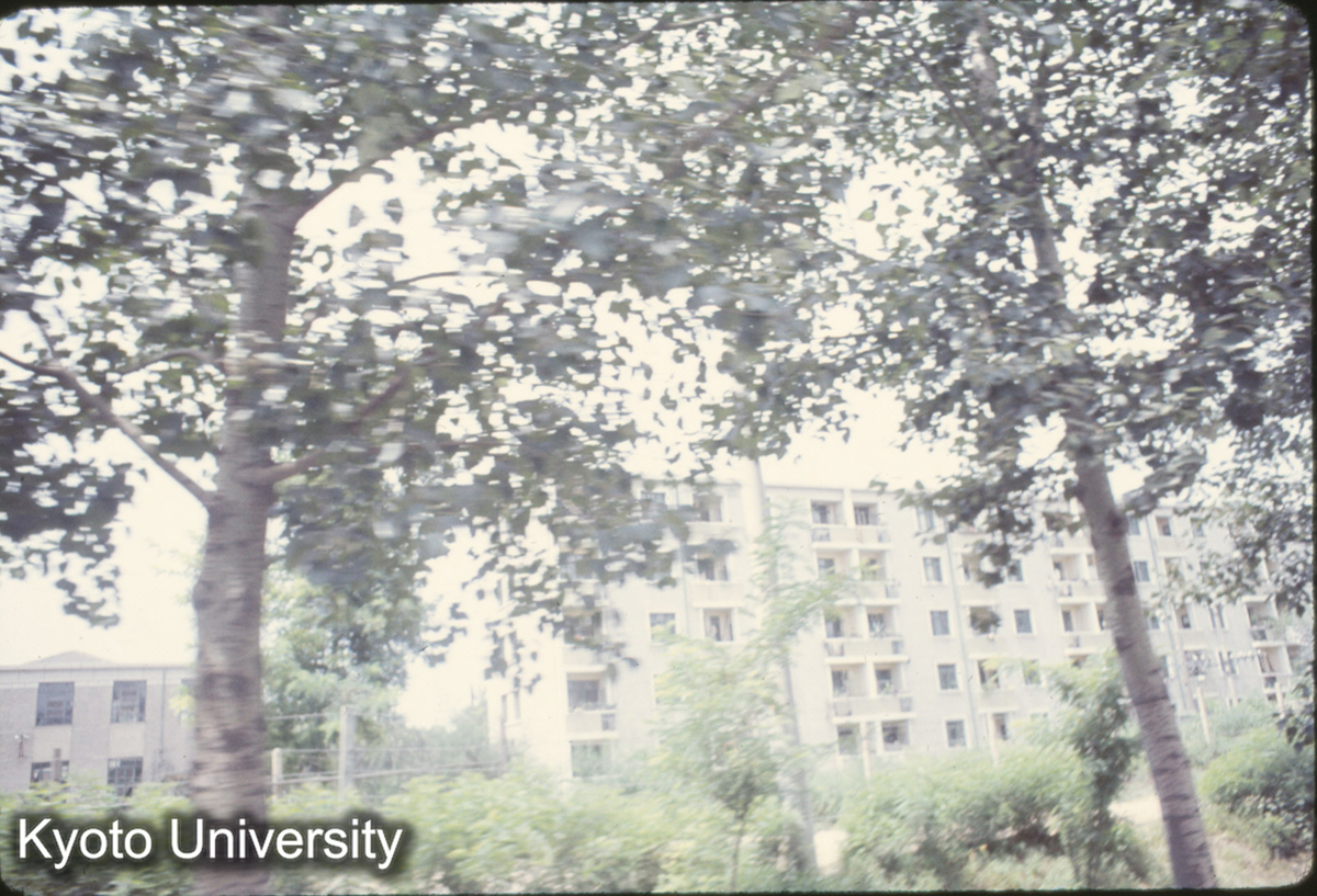 248_北京 工人住宅 (1)