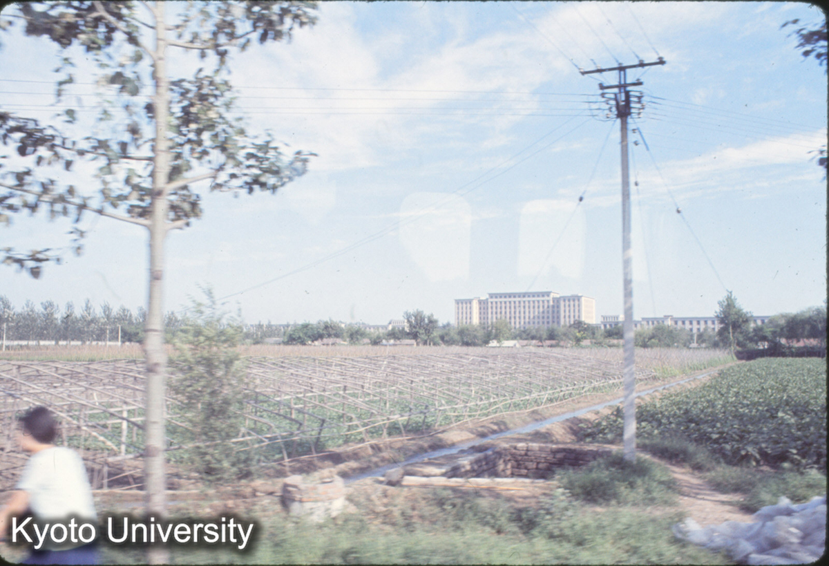 317_清華大学 遠望 (1)