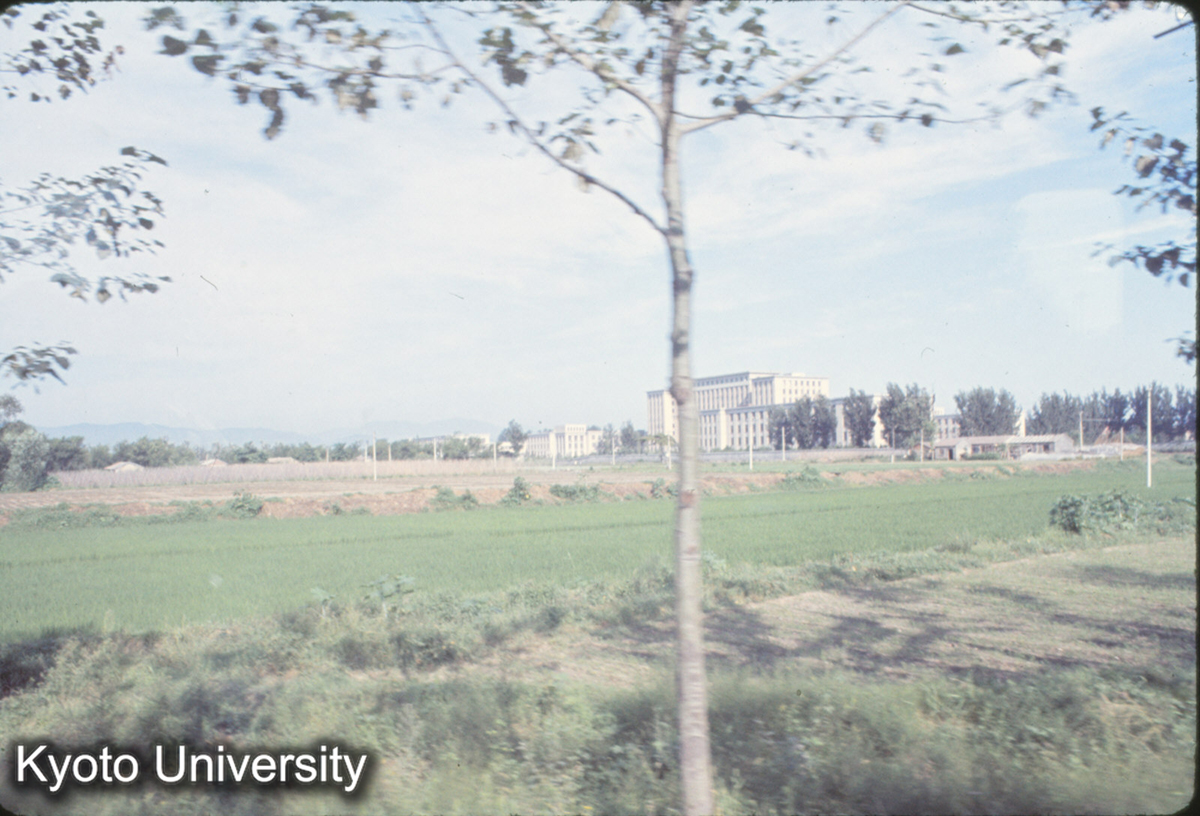 318_清華大学 遠望 (1)