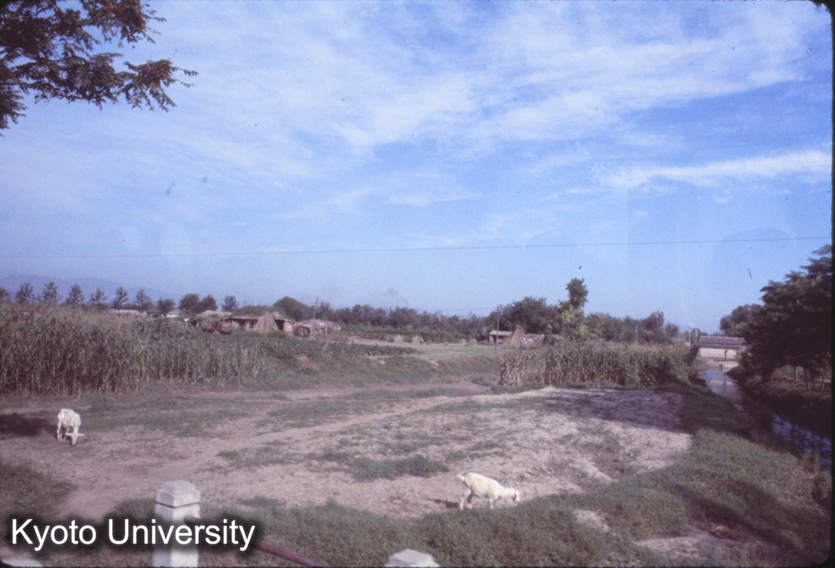 319_清華大学付近 農村 (1)