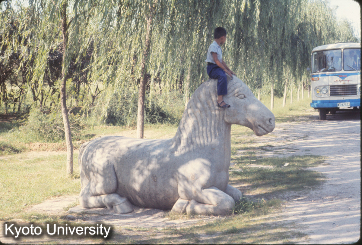 391_十三陵 石獣 (1)