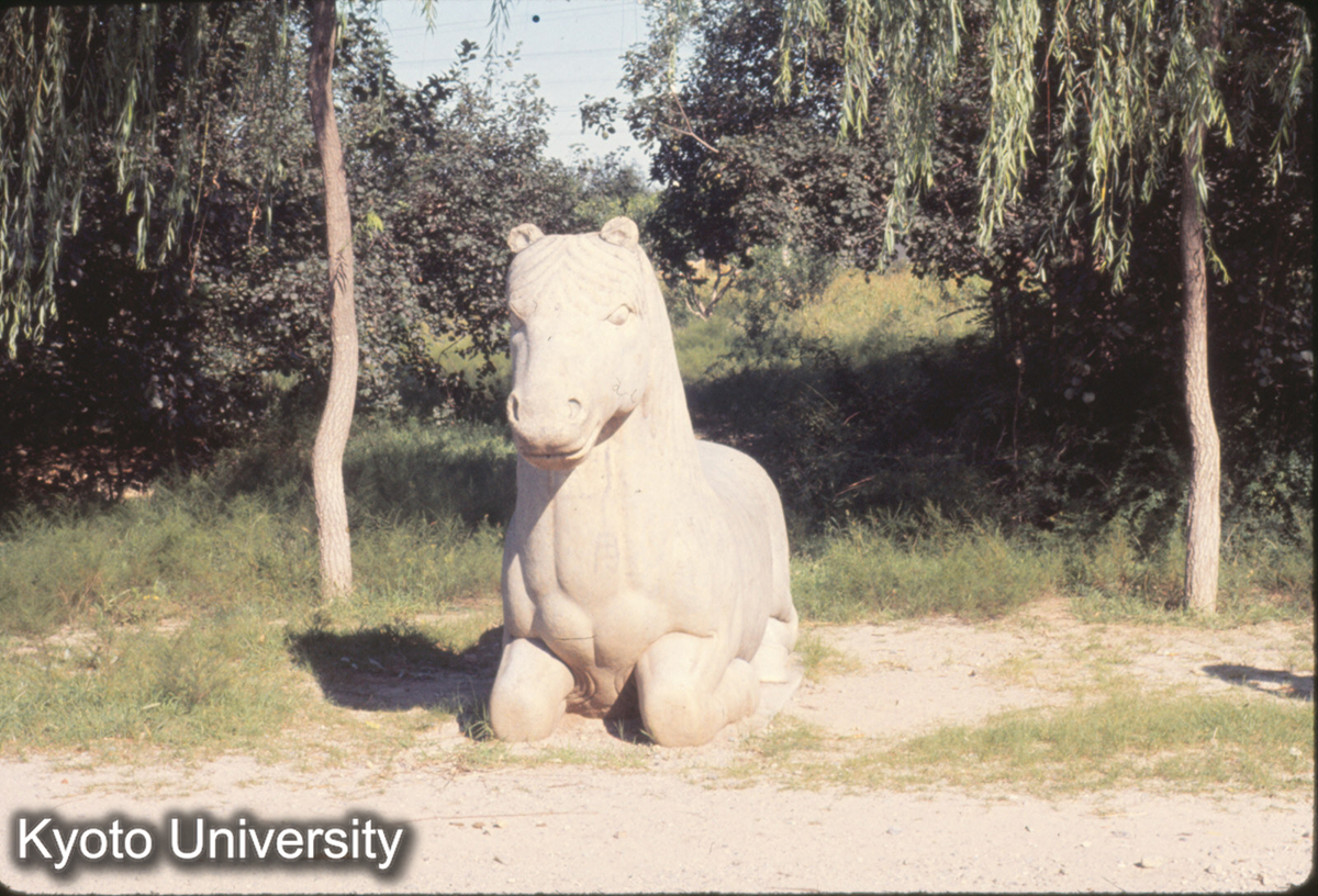 392_十三陵 神道 石獣 (1)
