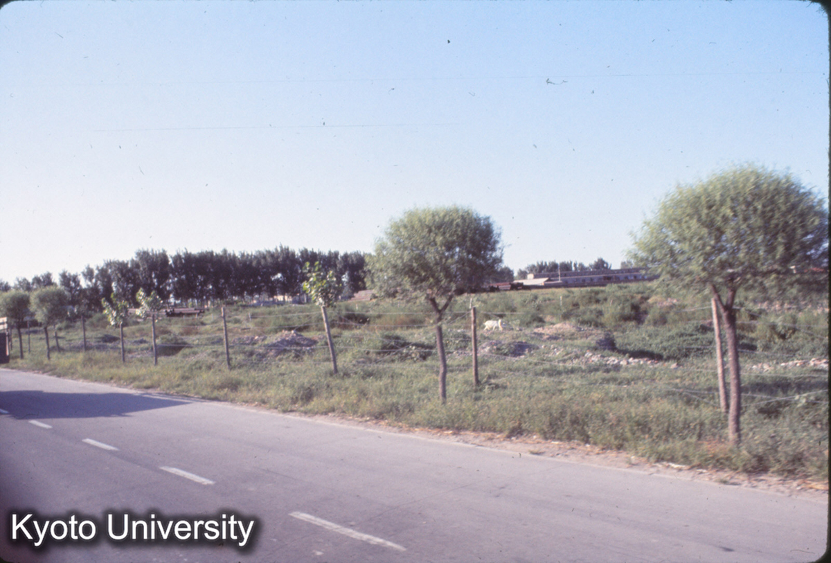 397_北京（十三陵帰途） (1)