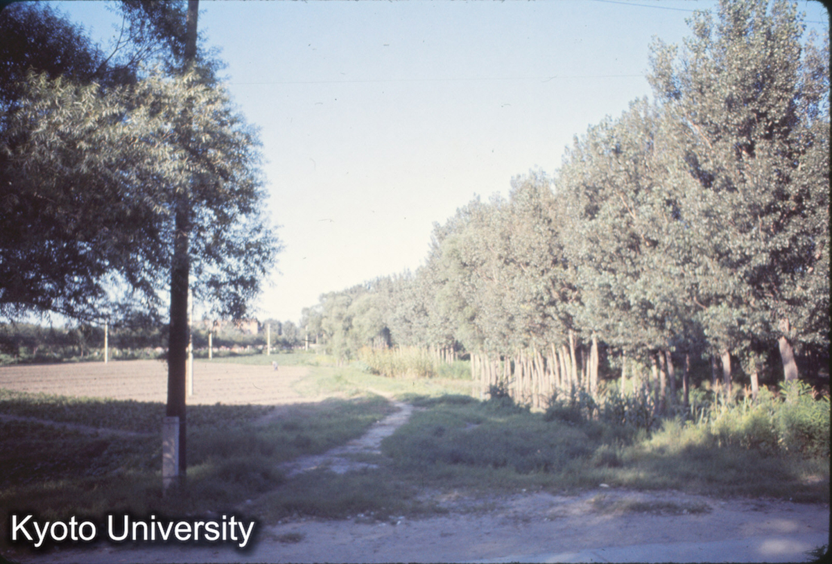 398_北京（十三陵帰途） (1)